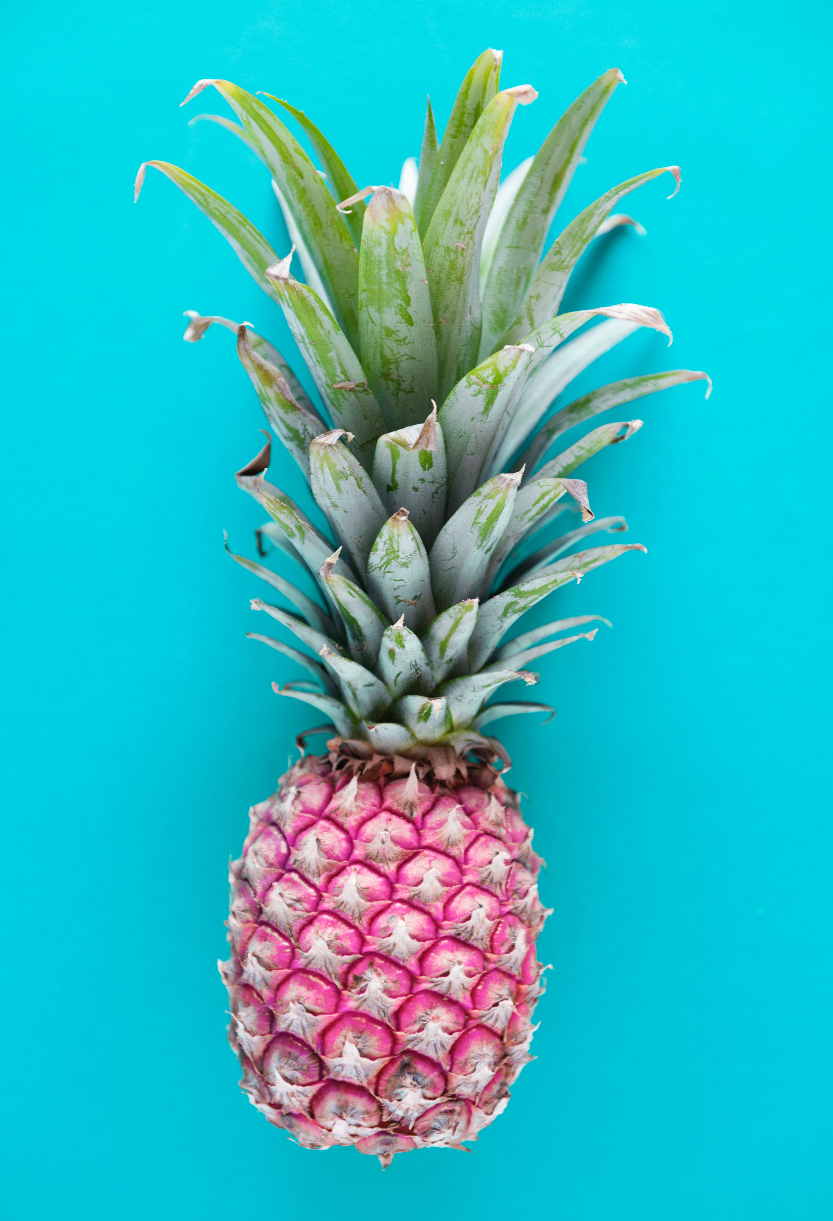 Green Pineapple Wallpapers