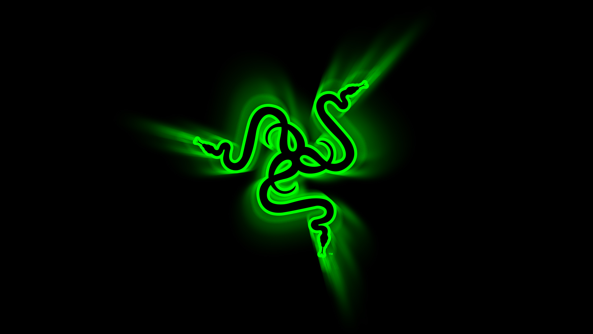 Green Python Hd Razer Wallpapers