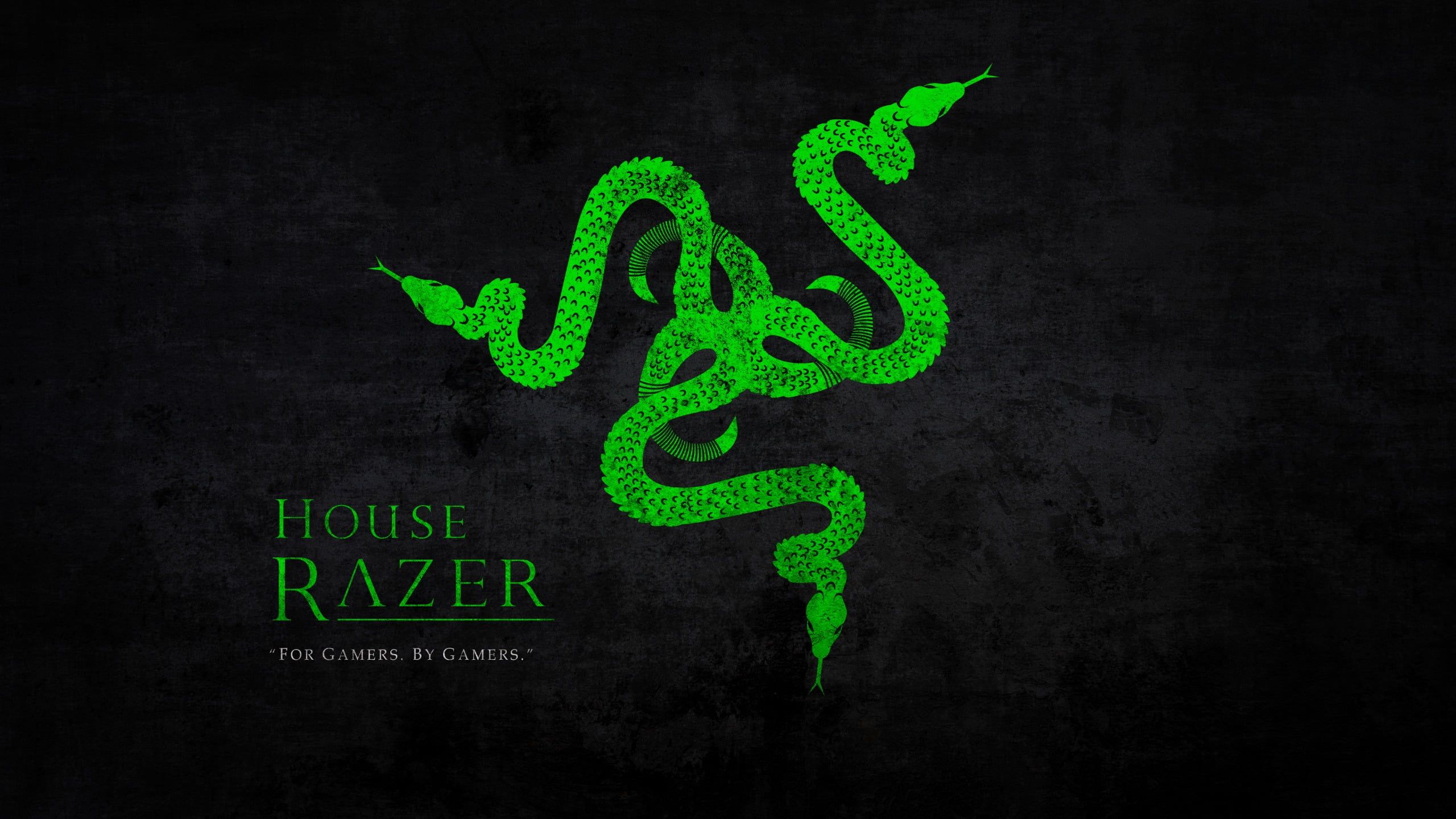 Green Python Hd Razer Wallpapers