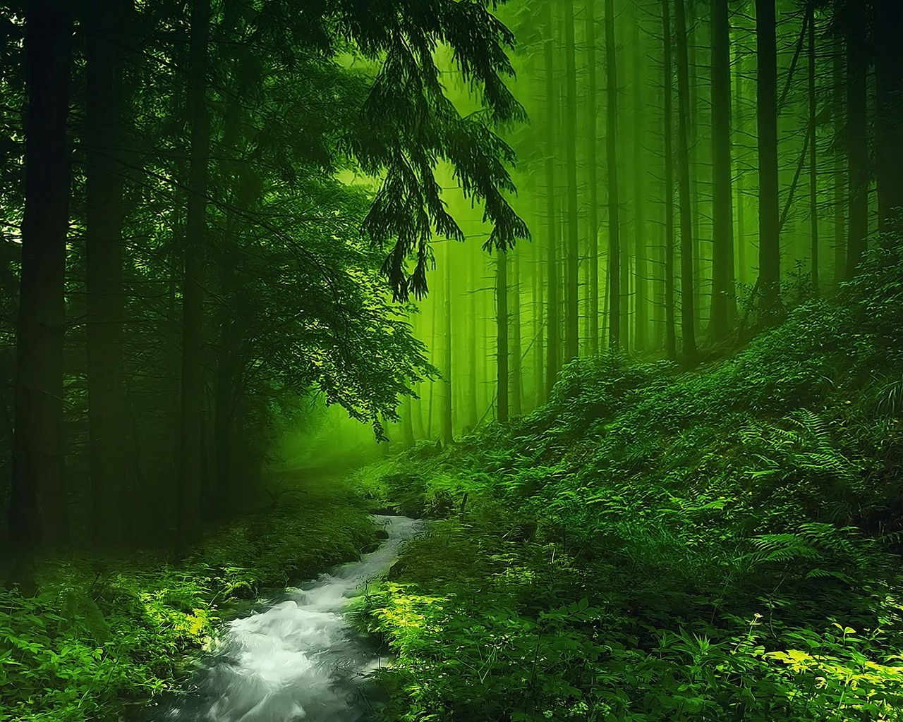 Green Scenery Wallpapers