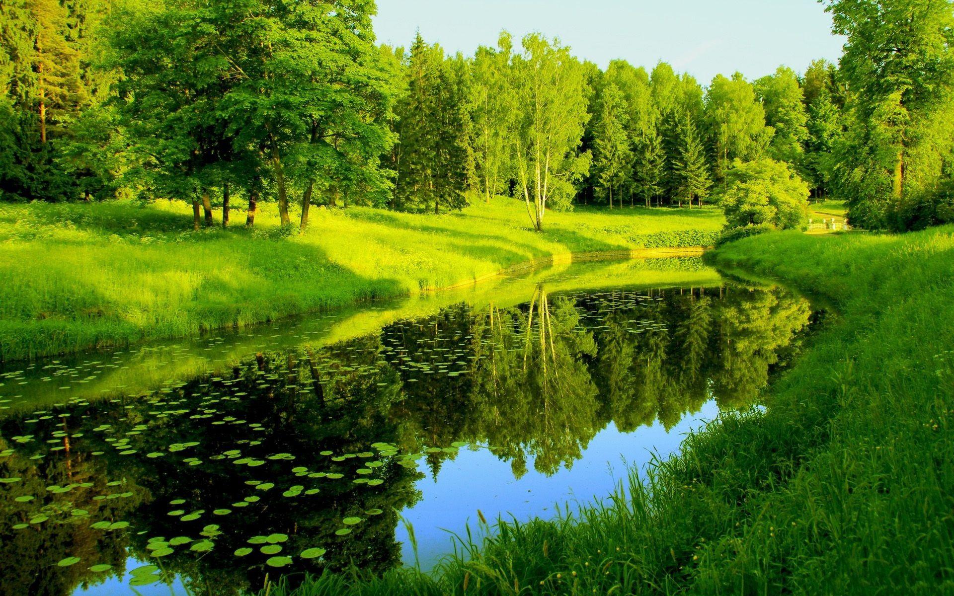 Green Scenery Wallpapers