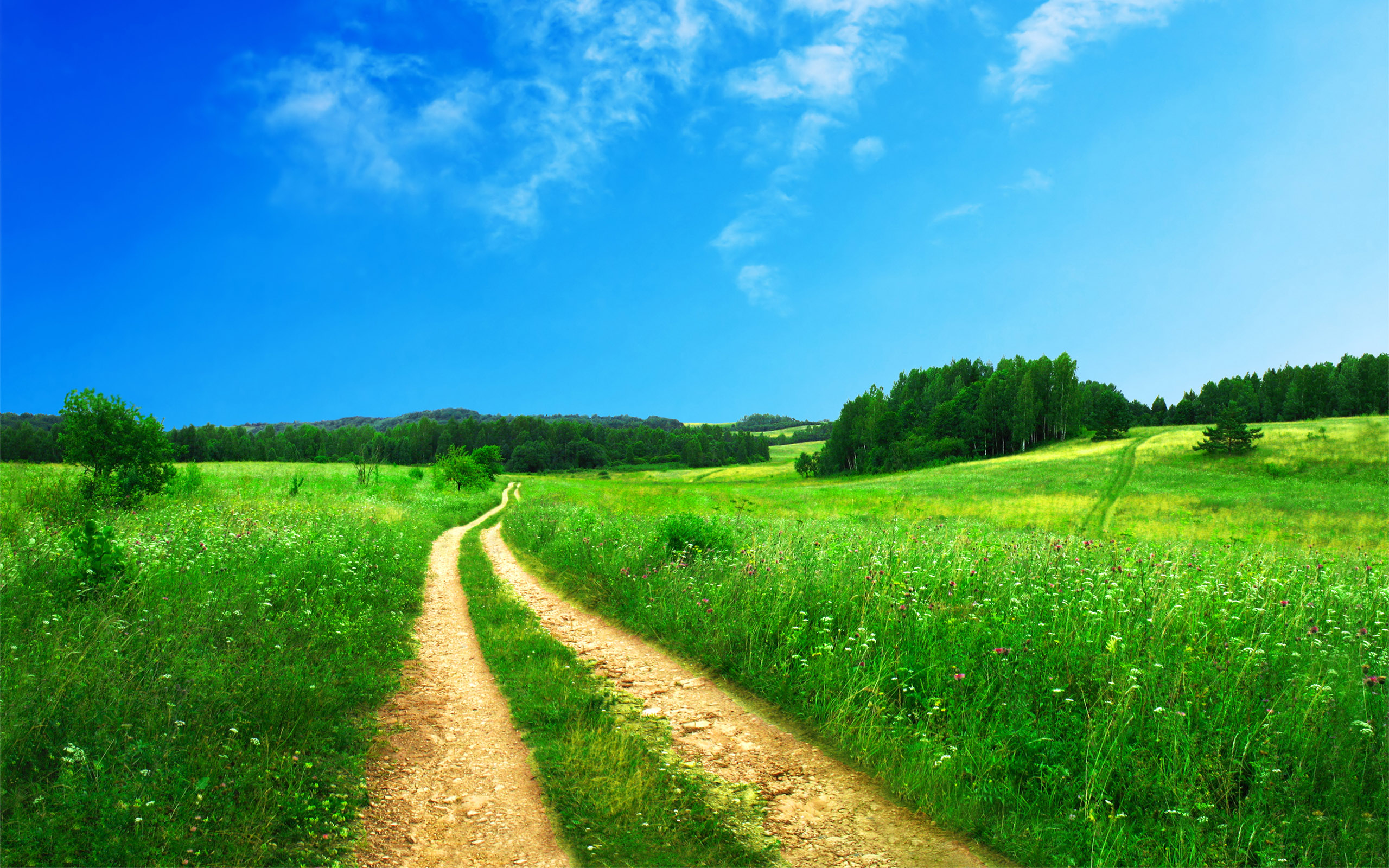 Green Scenery Wallpapers