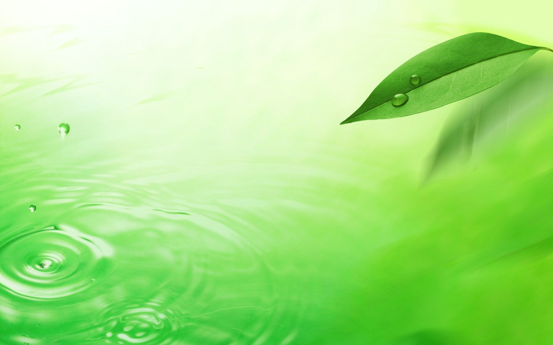 Green Water Wallpapers