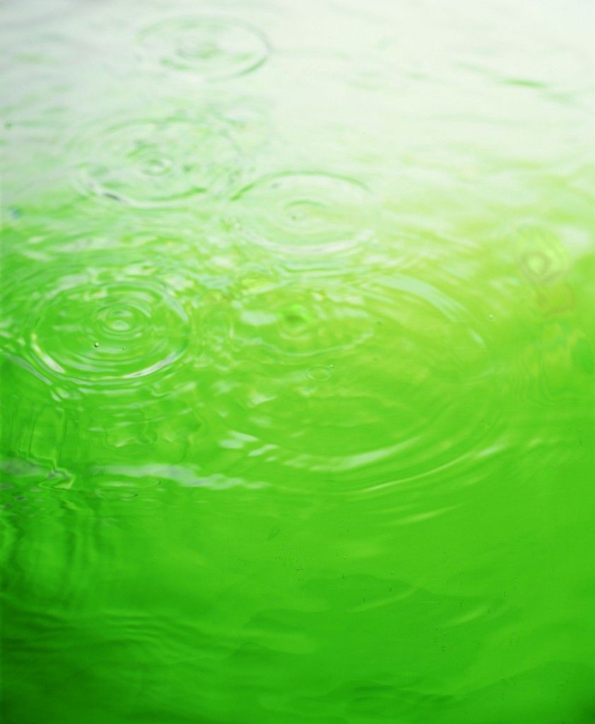 Green Water Wallpapers