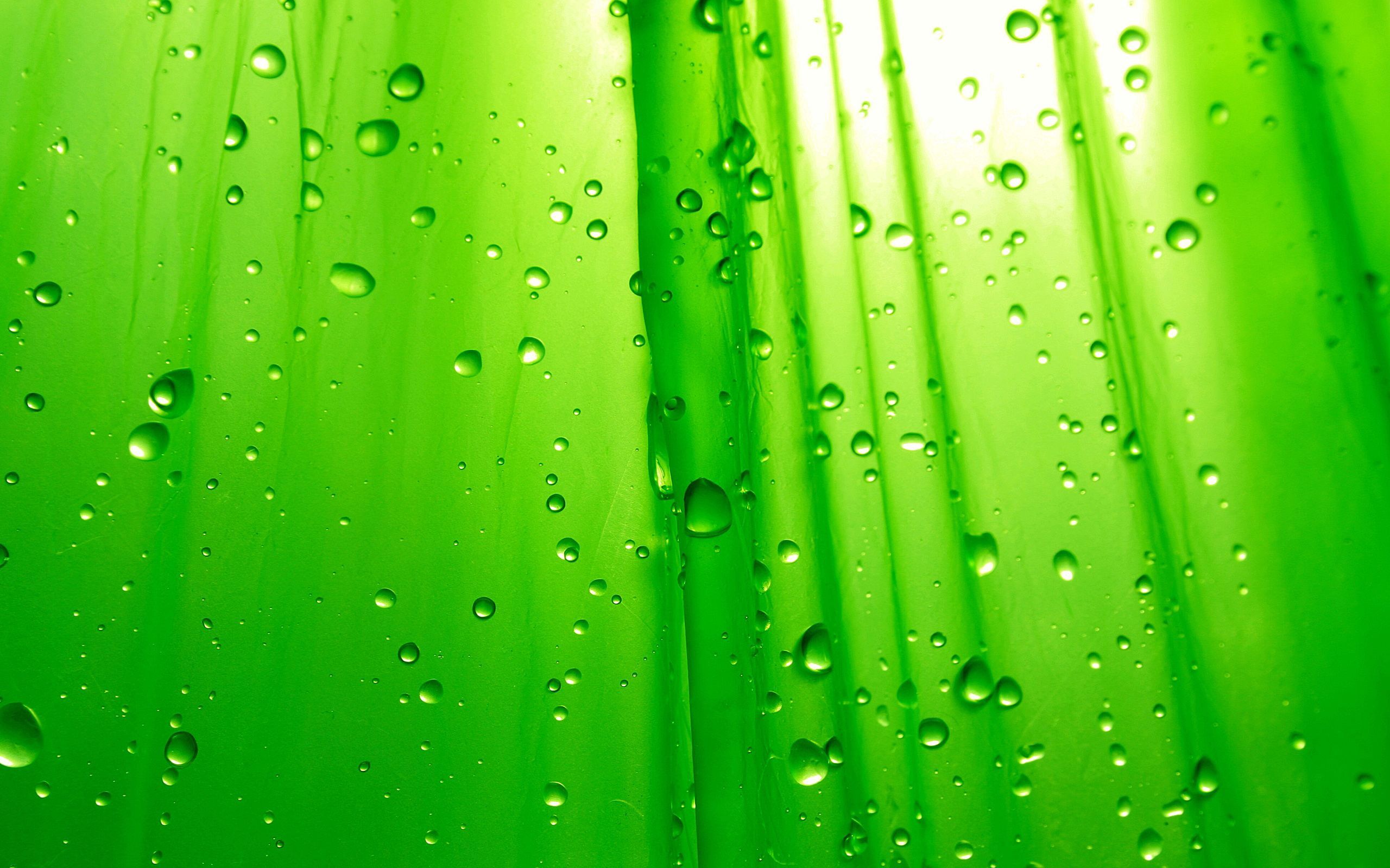 Green Water Wallpapers