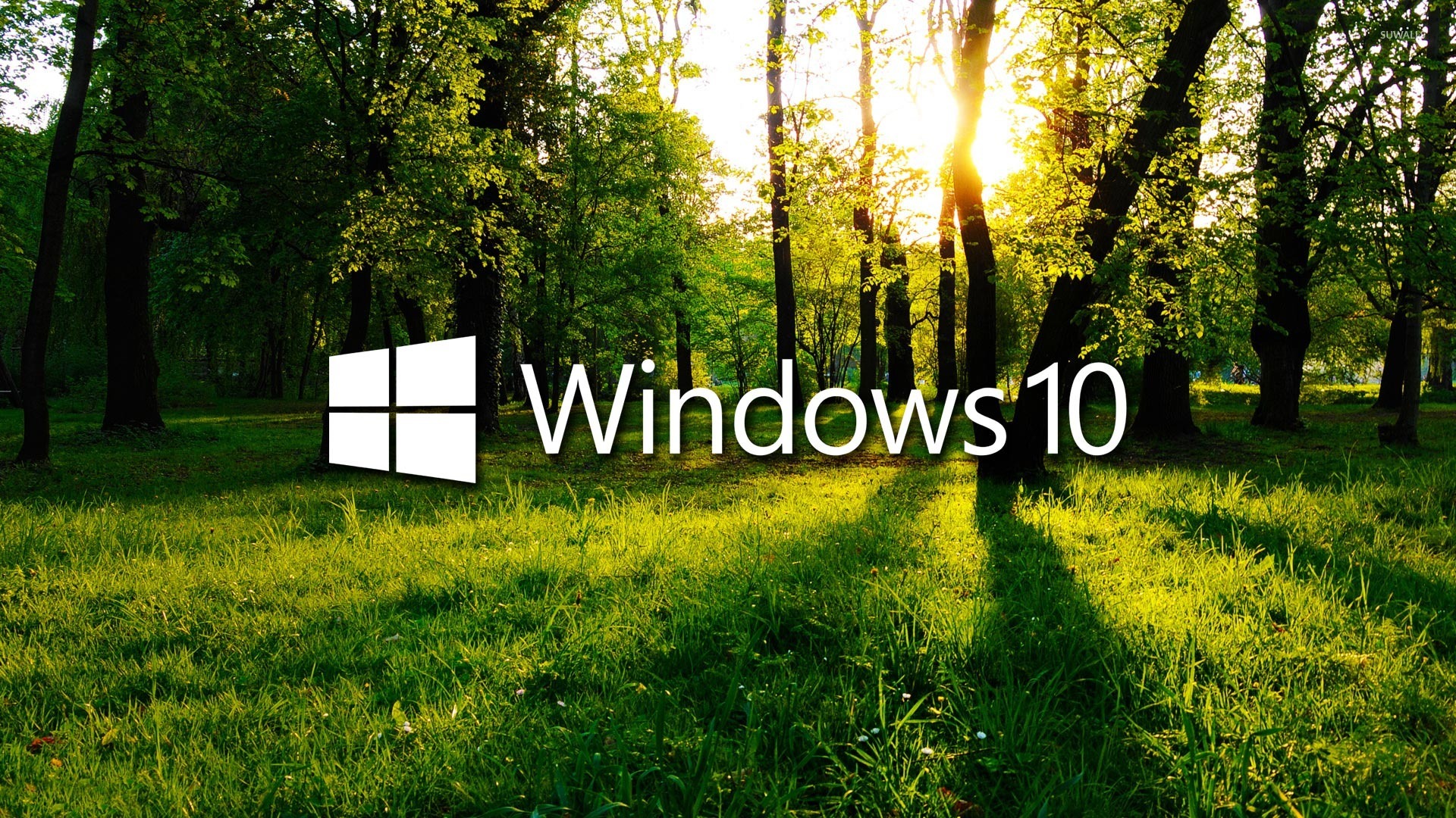 Green Windows 10 Background