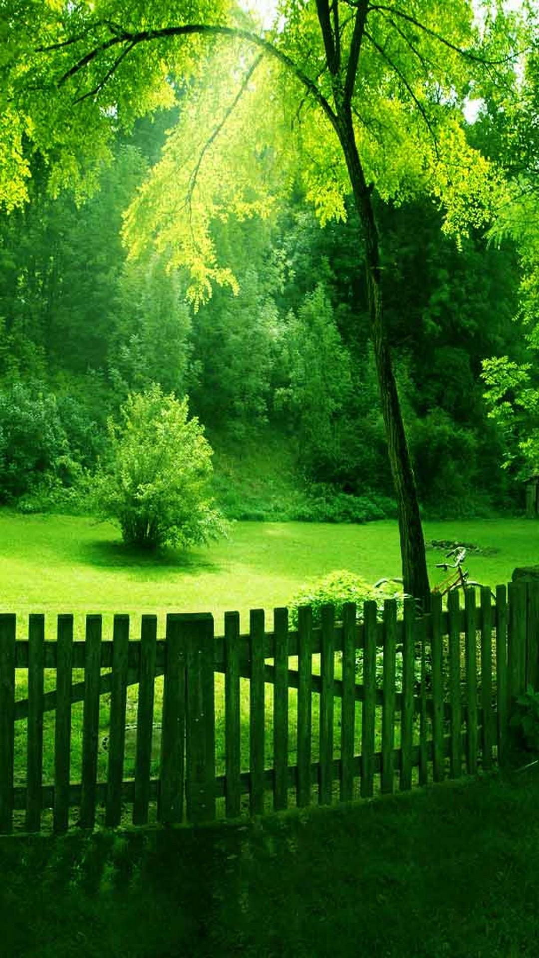 Greenery Nature Hd Wallpapers