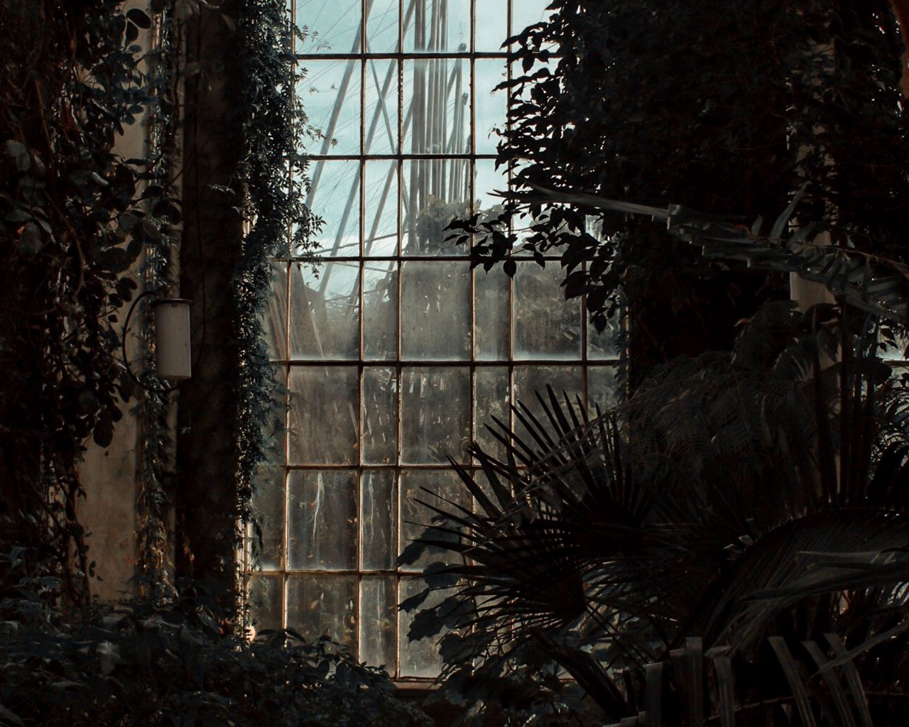 Greenhouse Wallpapers