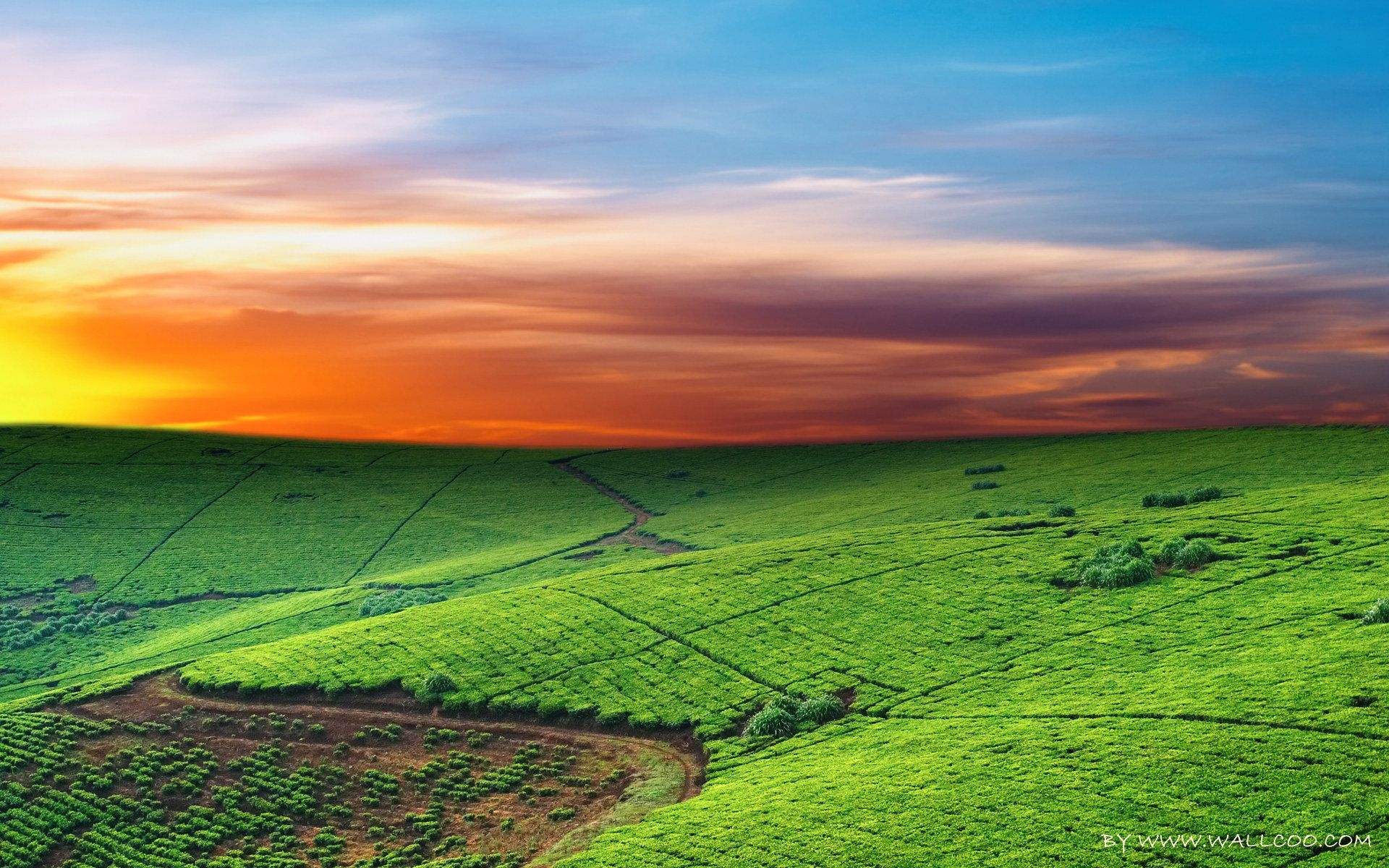 Greeny Landscape Sunrise 2021 Wallpapers