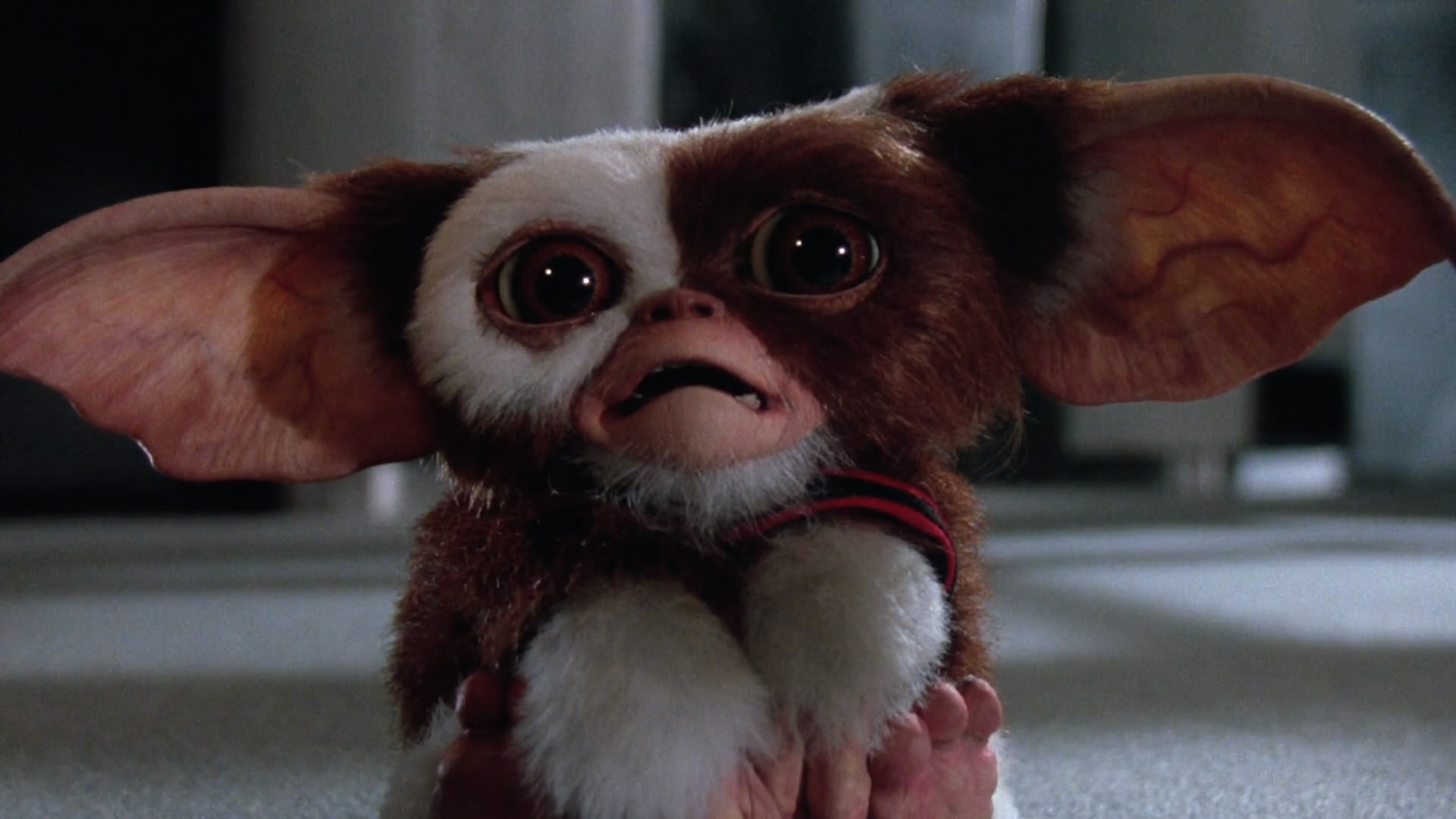 Gremlins 2: The New Batch Wallpapers