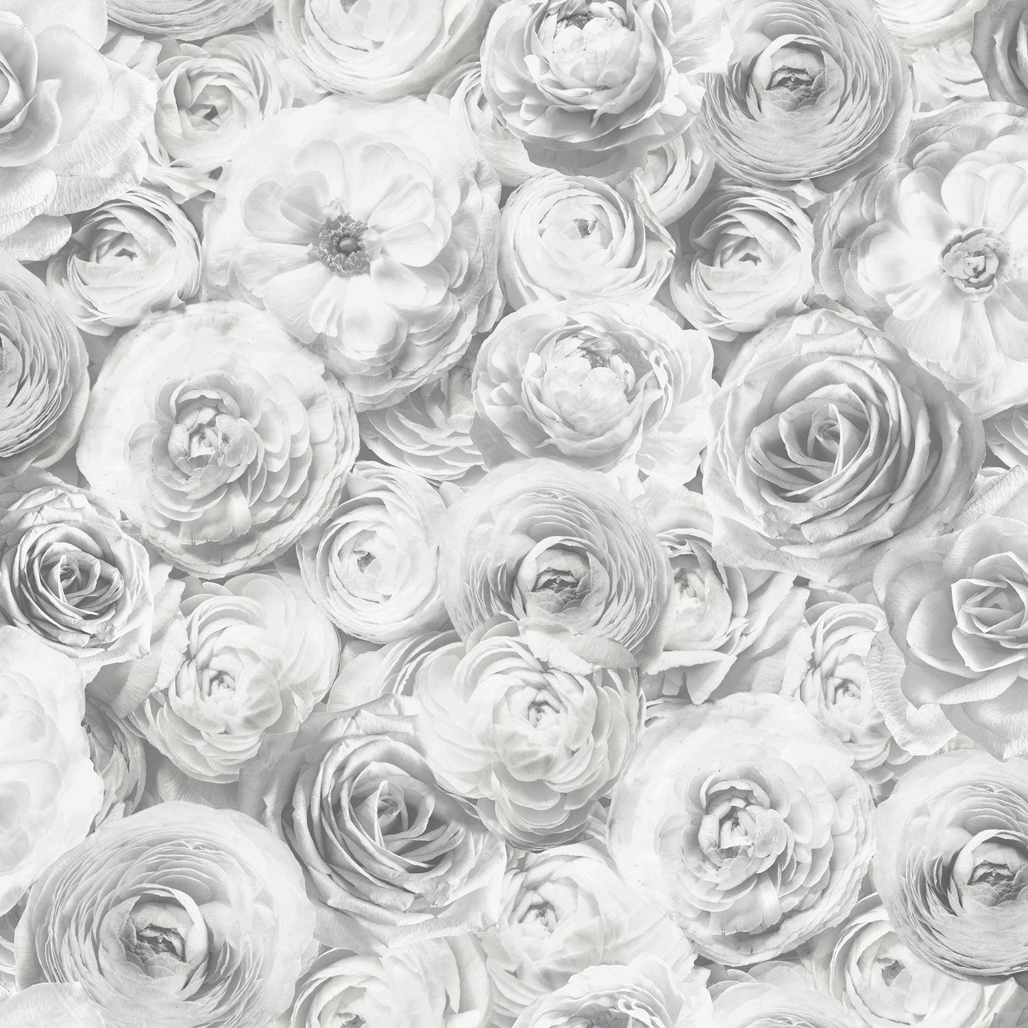 Grey Flower Wallpapers