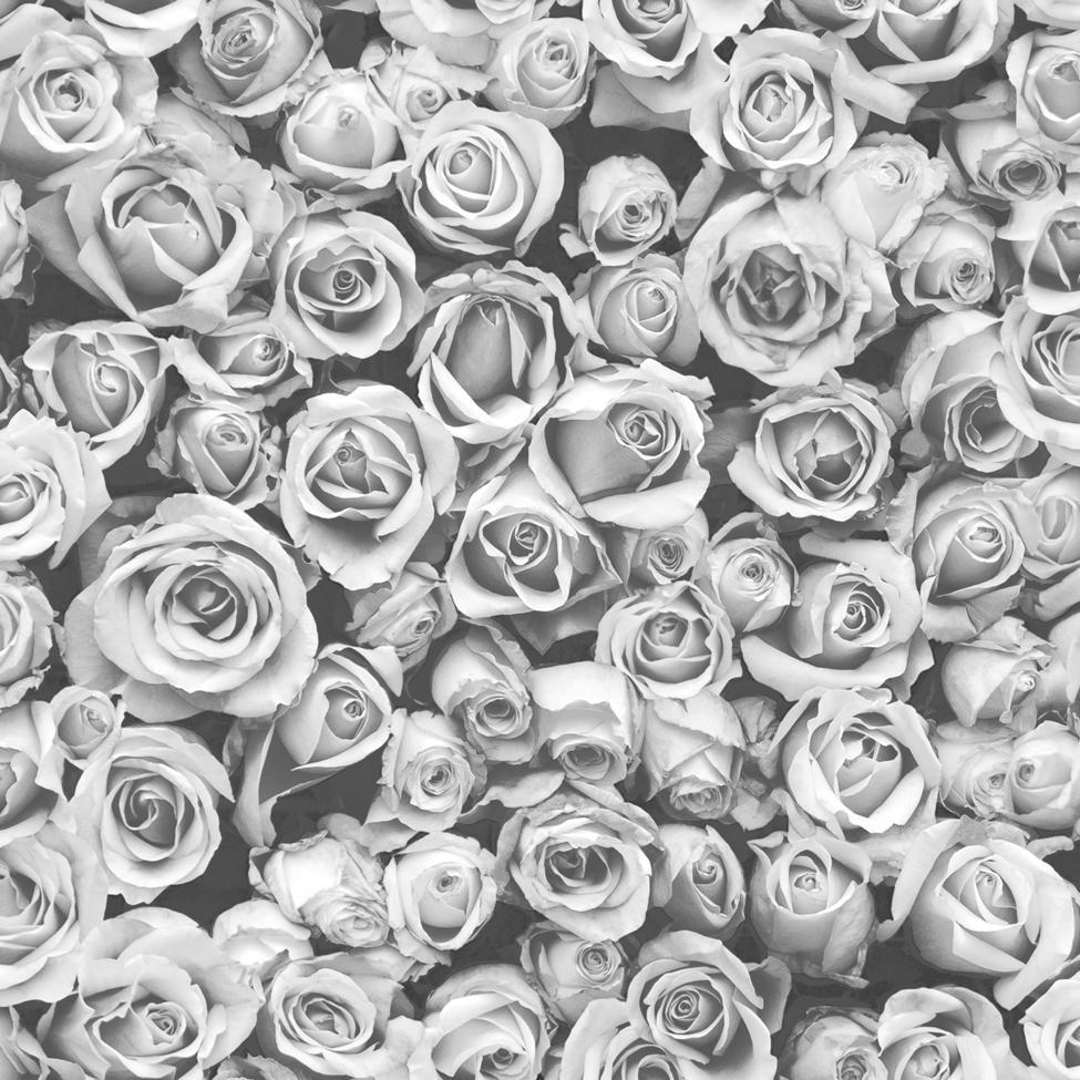 Grey Flower Wallpapers