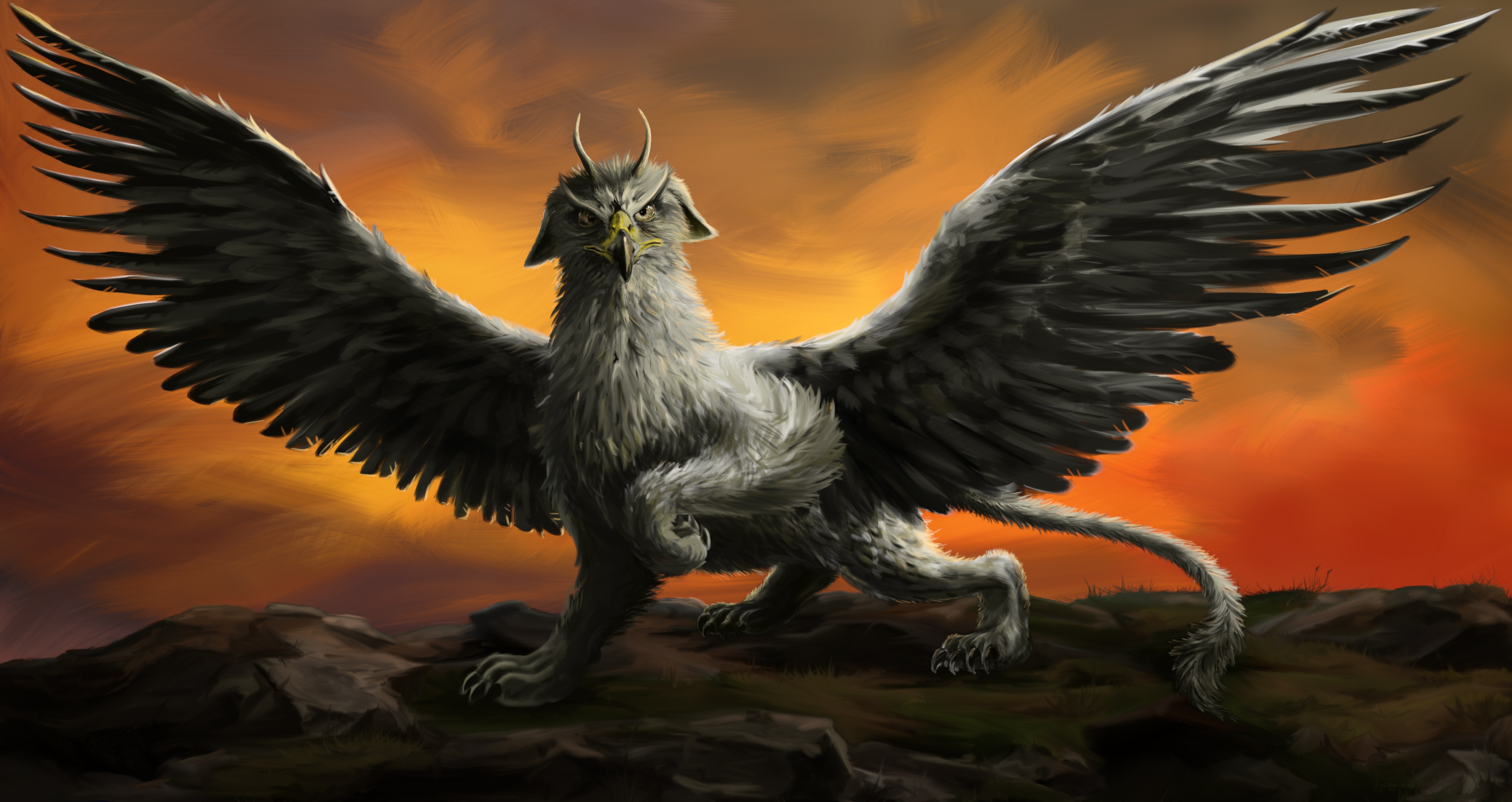 Griffin Wallpapers