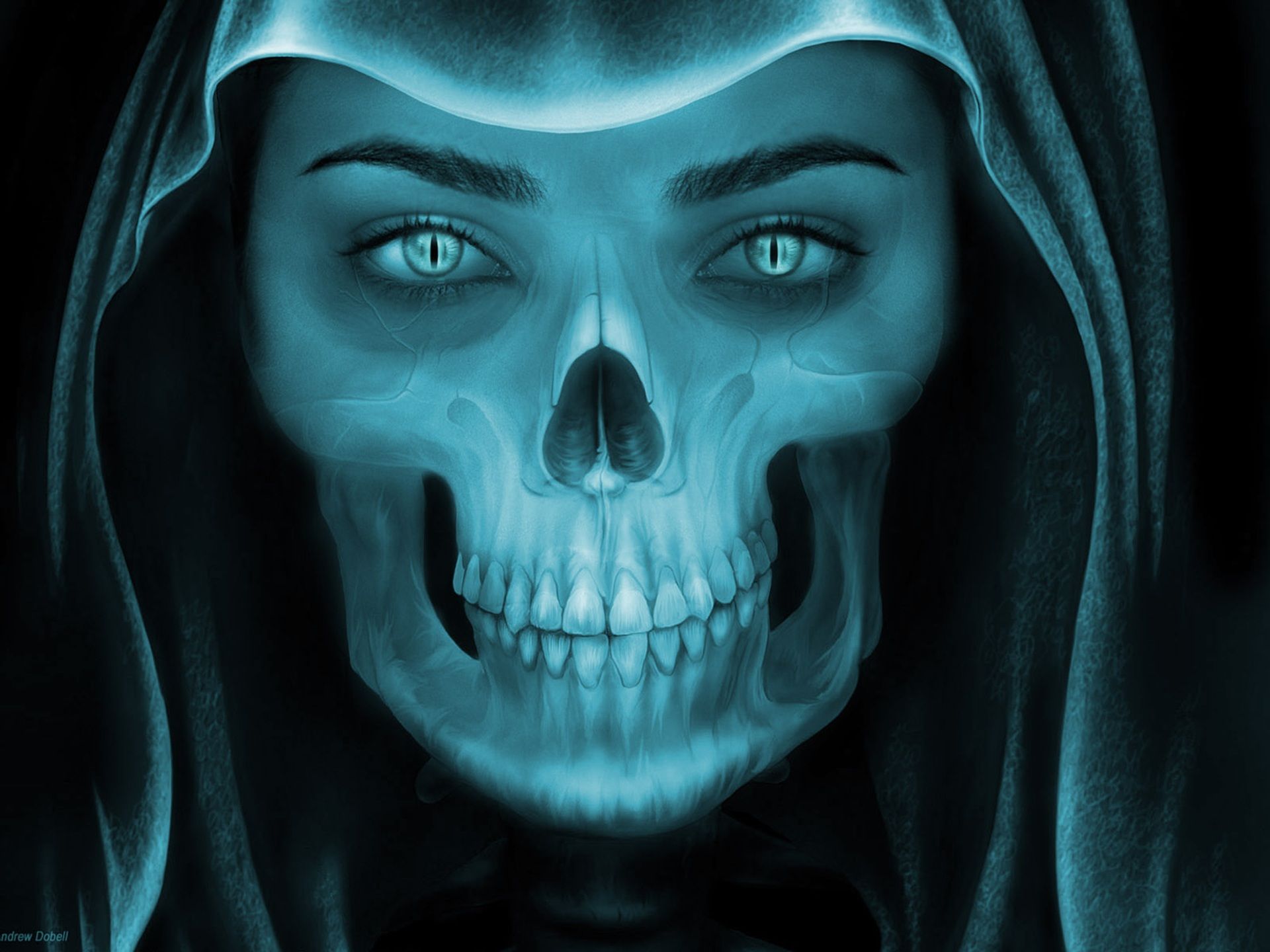 Grim Reaper Skeleton Face
 Wallpapers