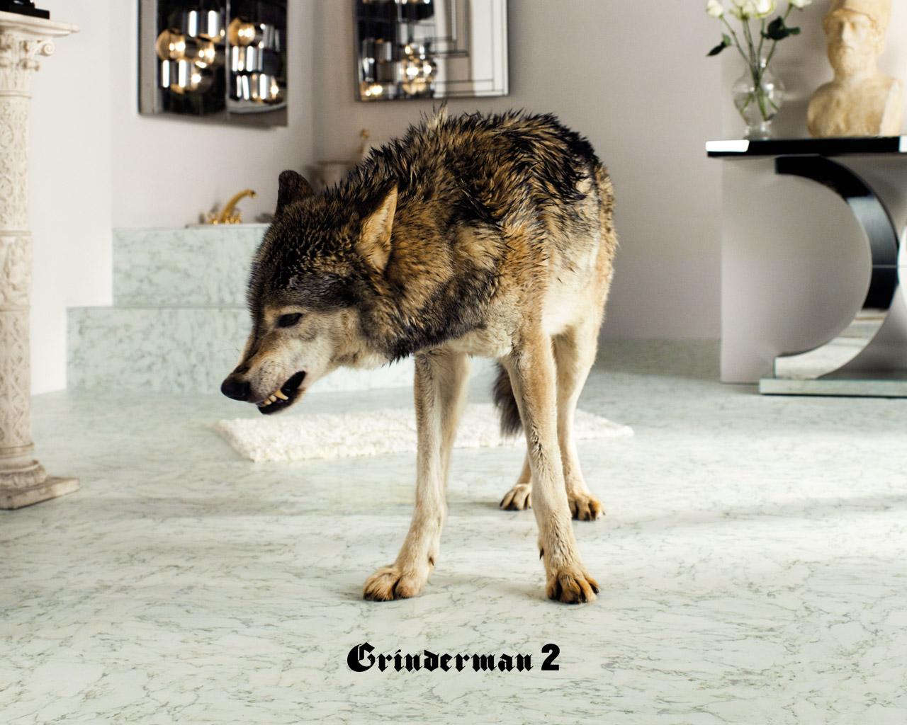 Grinderman Wallpapers