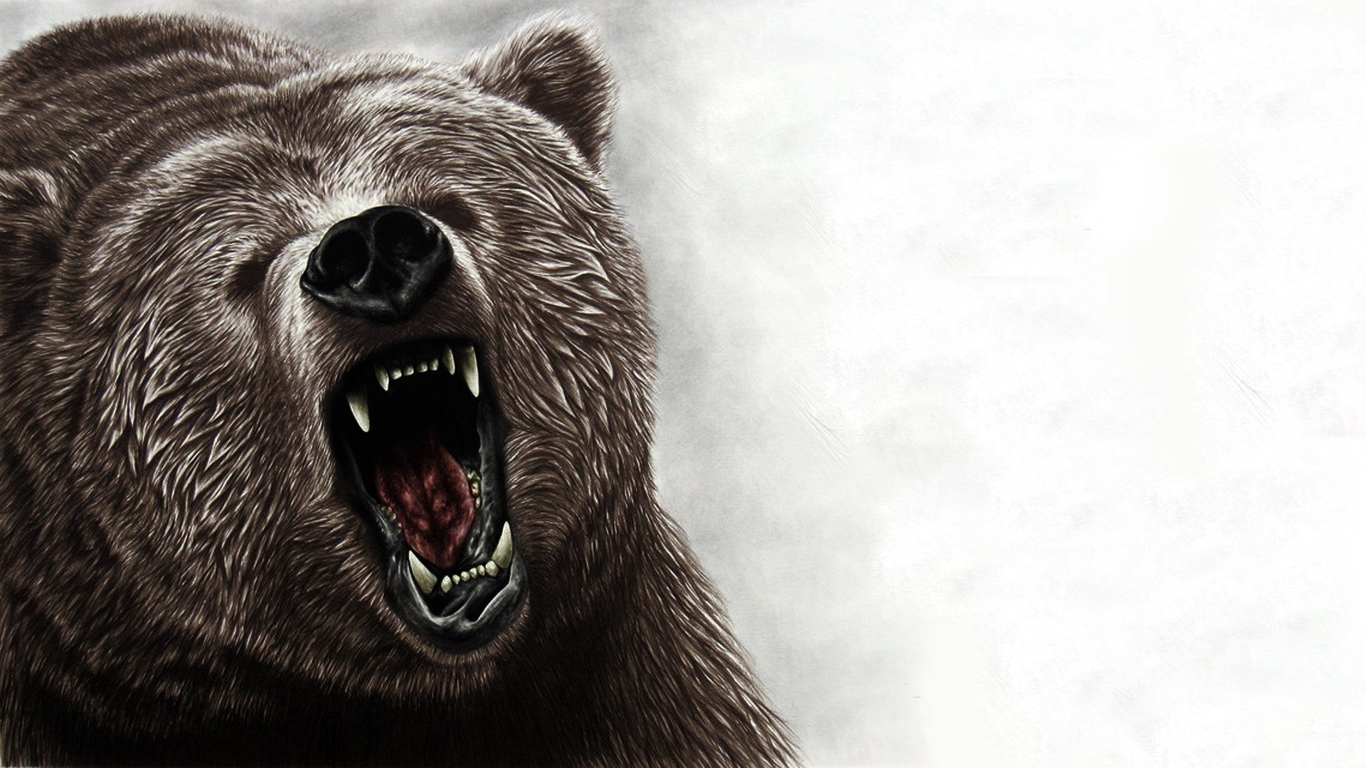 Grizzly Bear Backgrounds
