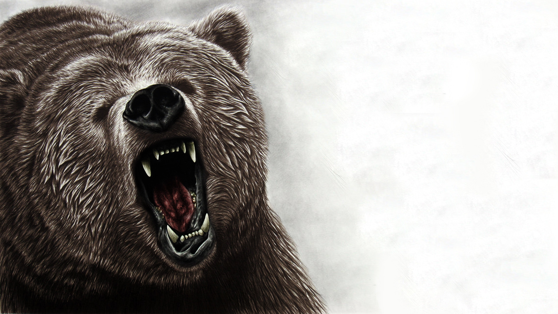 Grizzly Bear Backgrounds