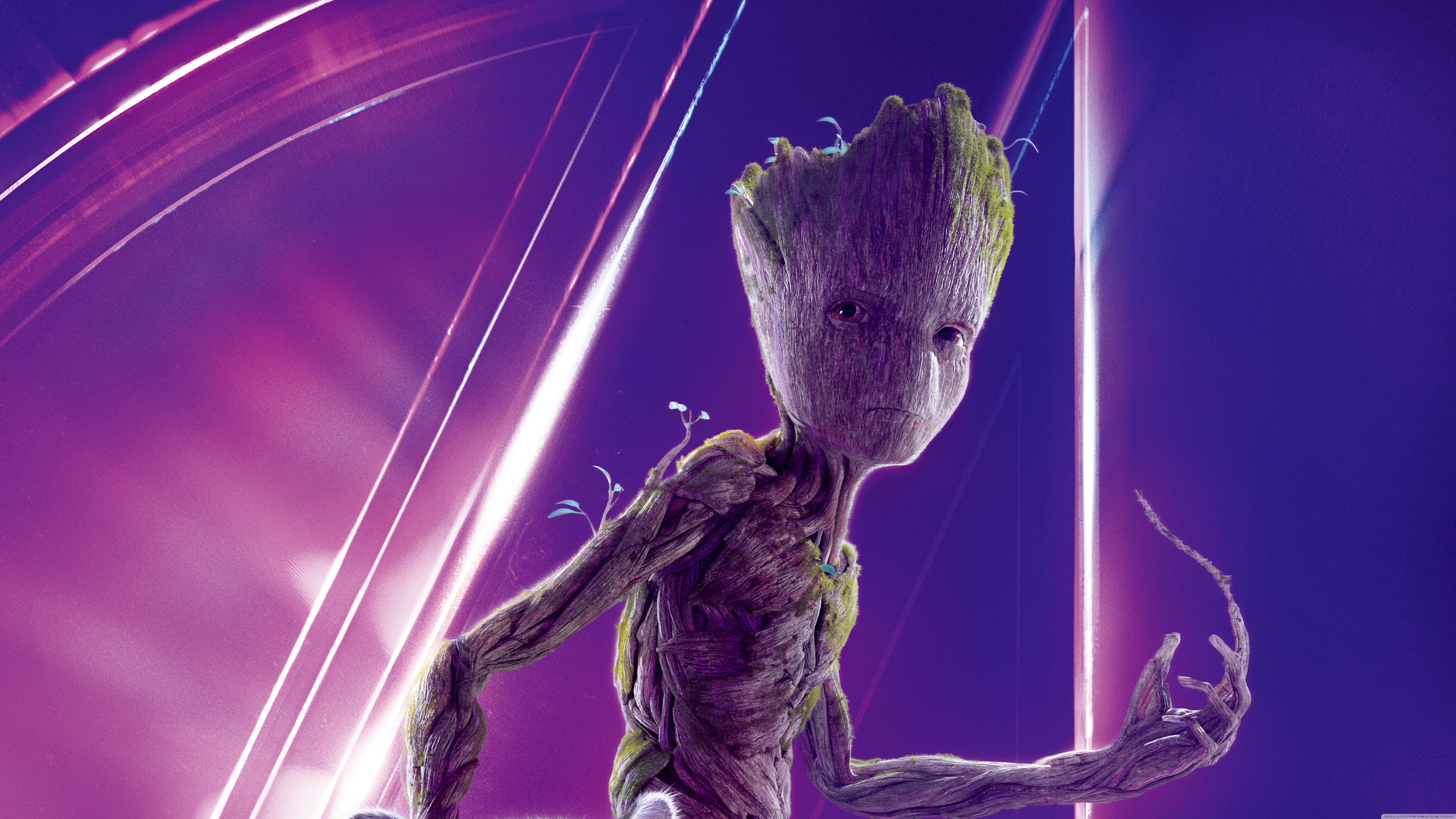 Groot Wallpapers