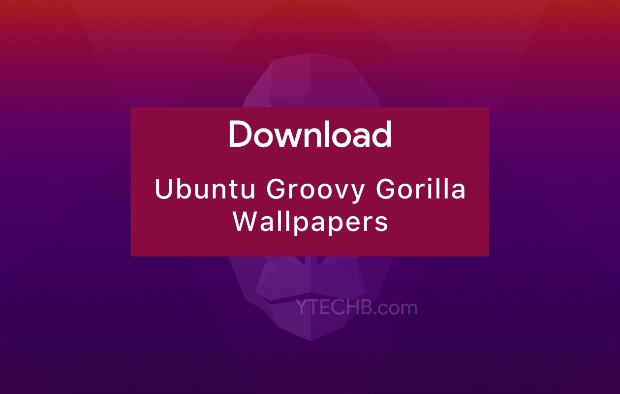 Groovy Gorilla Ubuntu 20 Wallpapers