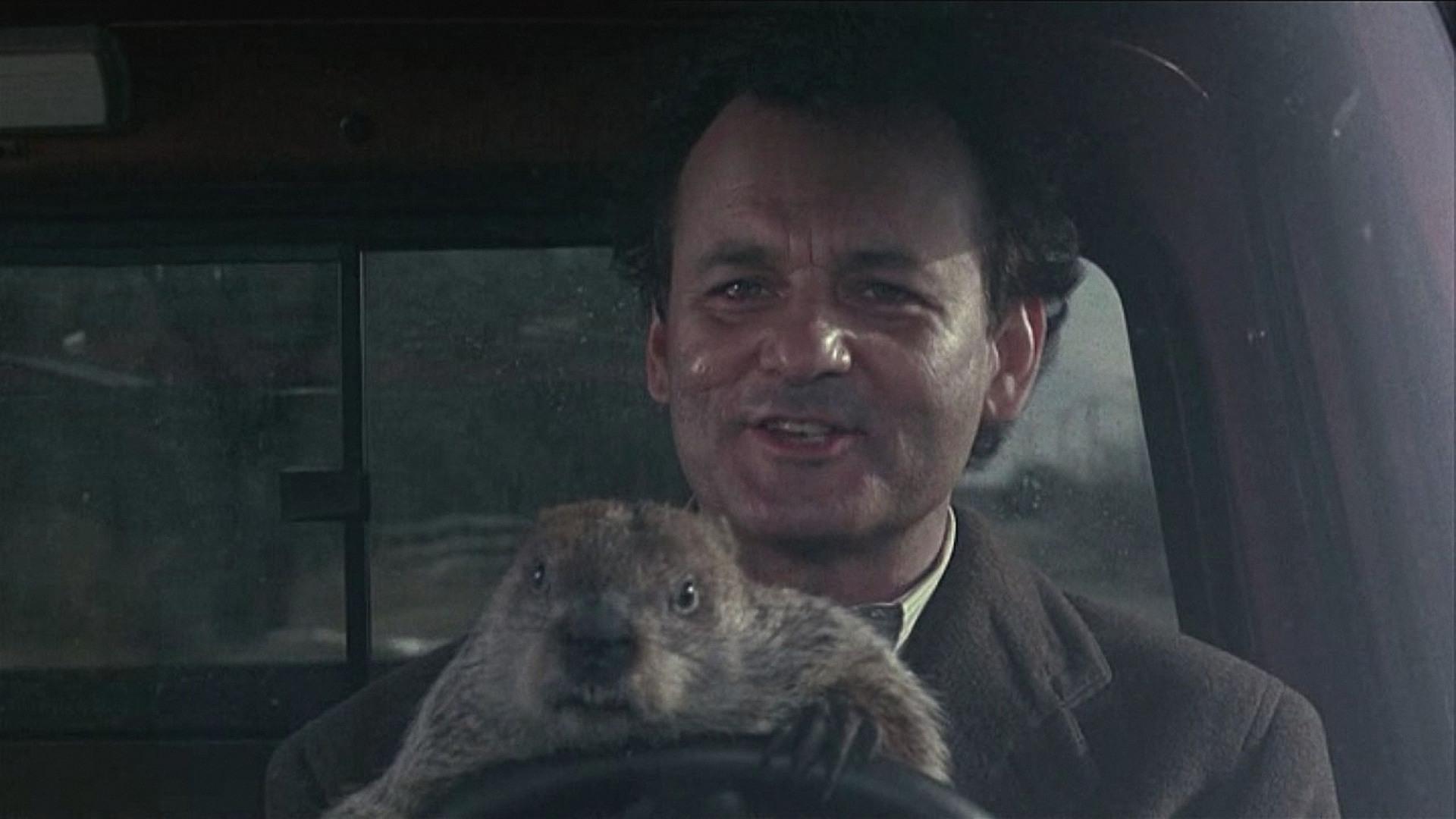 Groundhog Day Movie Wallpapers