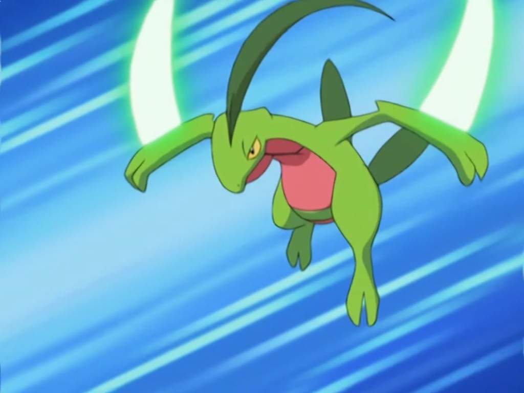 Grovyle Hd Wallpapers