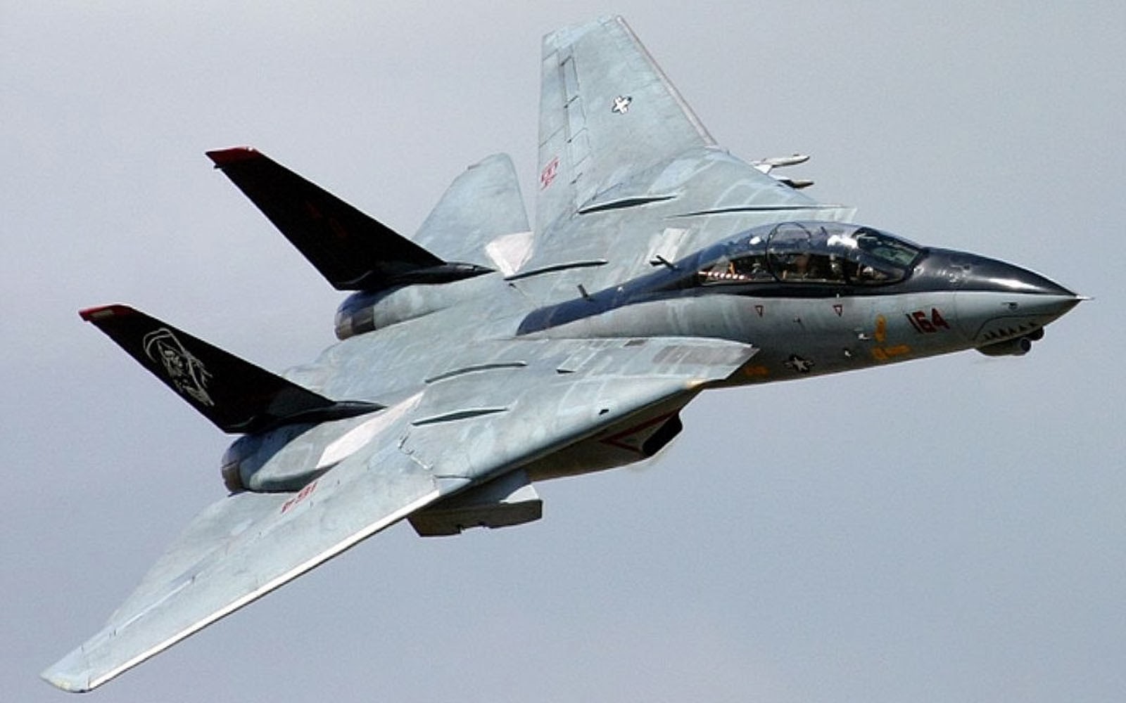 Grumman F-14 Tomcat Wallpapers