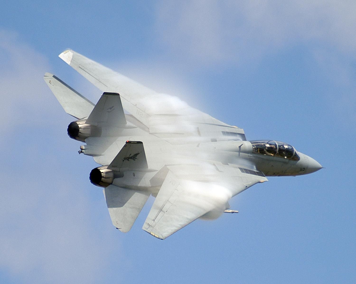 Grumman F-14 Tomcat Wallpapers