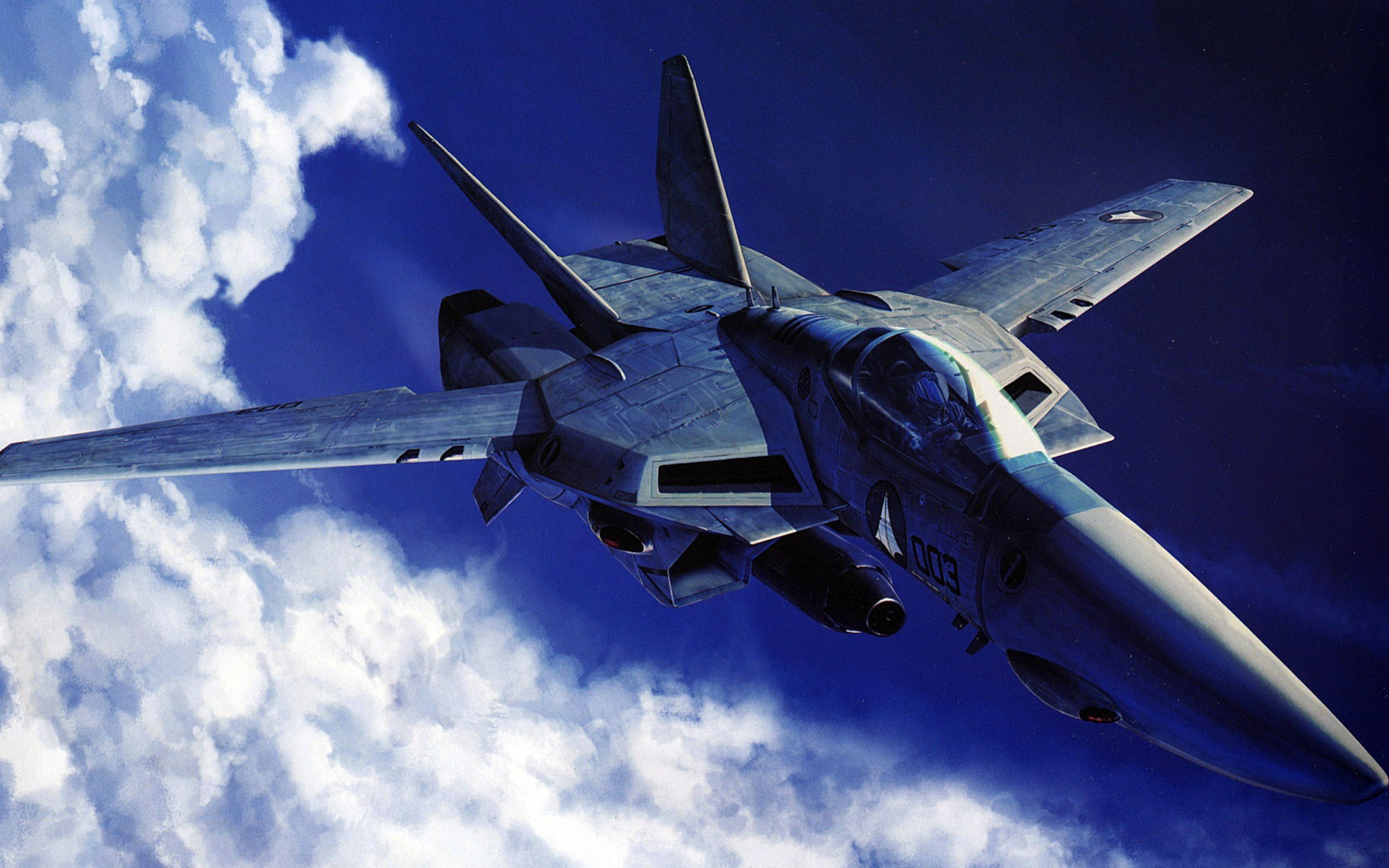 Grumman F-14 Tomcat Wallpapers