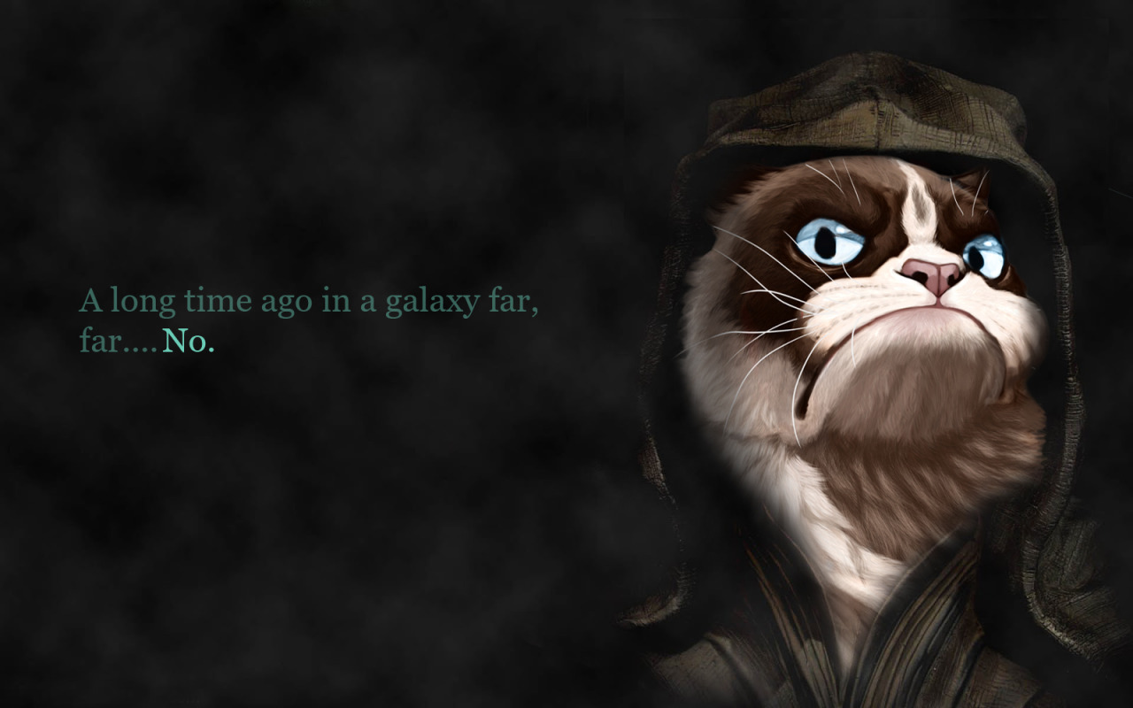 Grumpy Cat Desktop Background