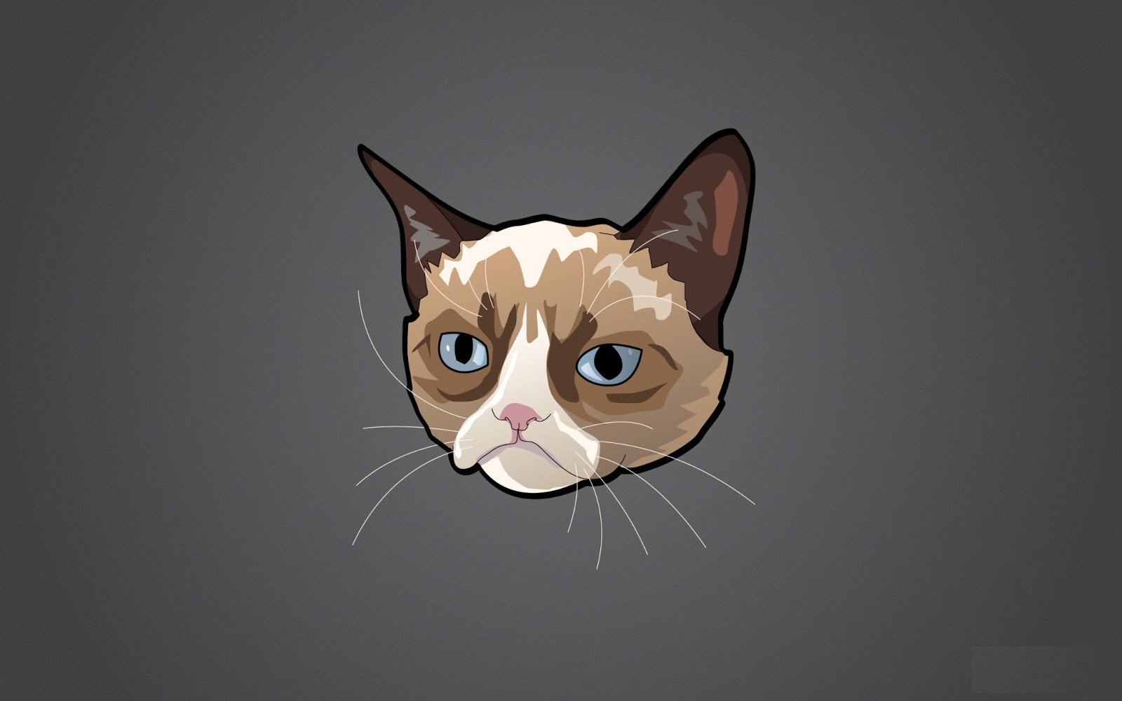 Grumpy Cat Free Wallpapers