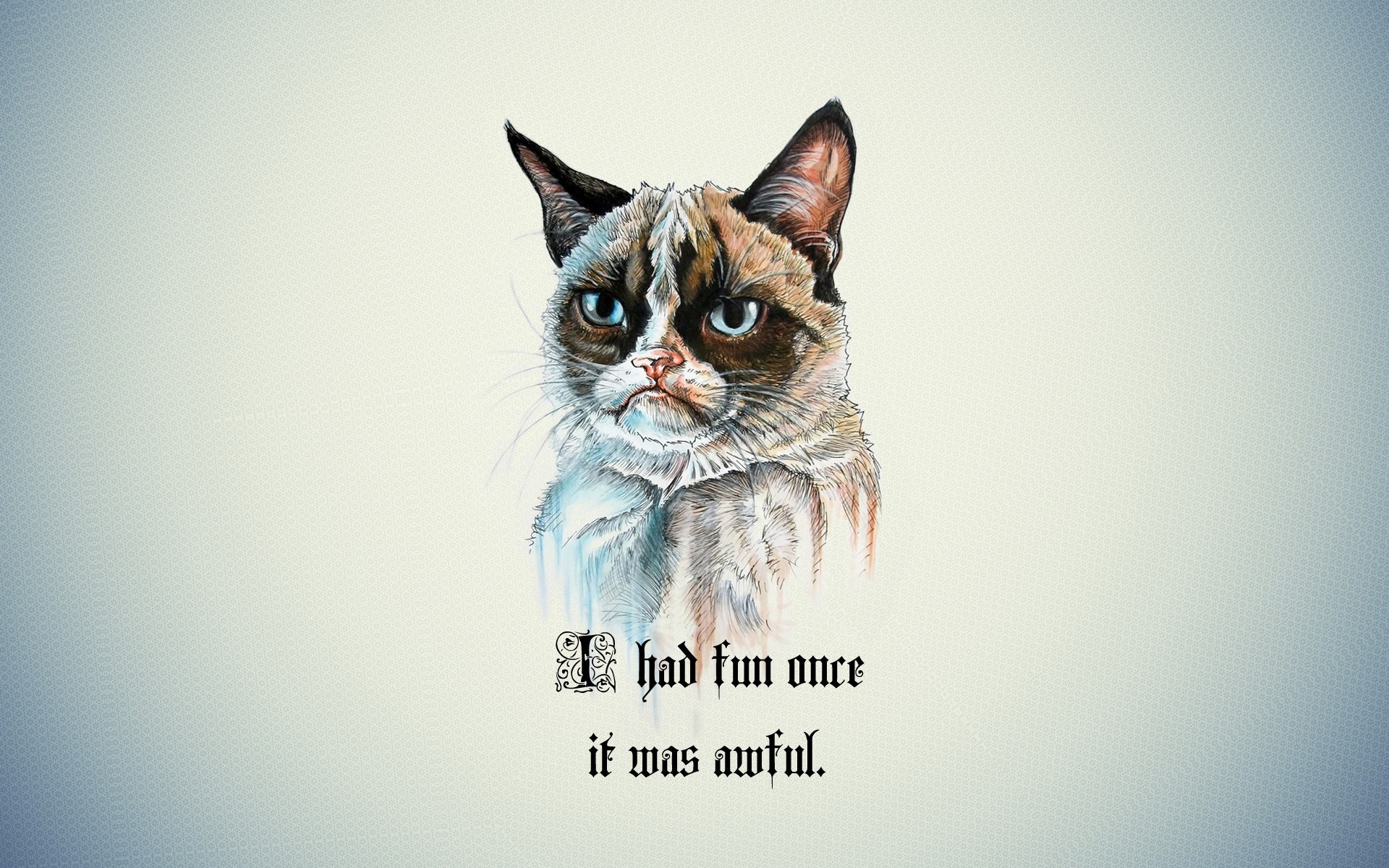 Grumpy Cat Iphone Wallpapers