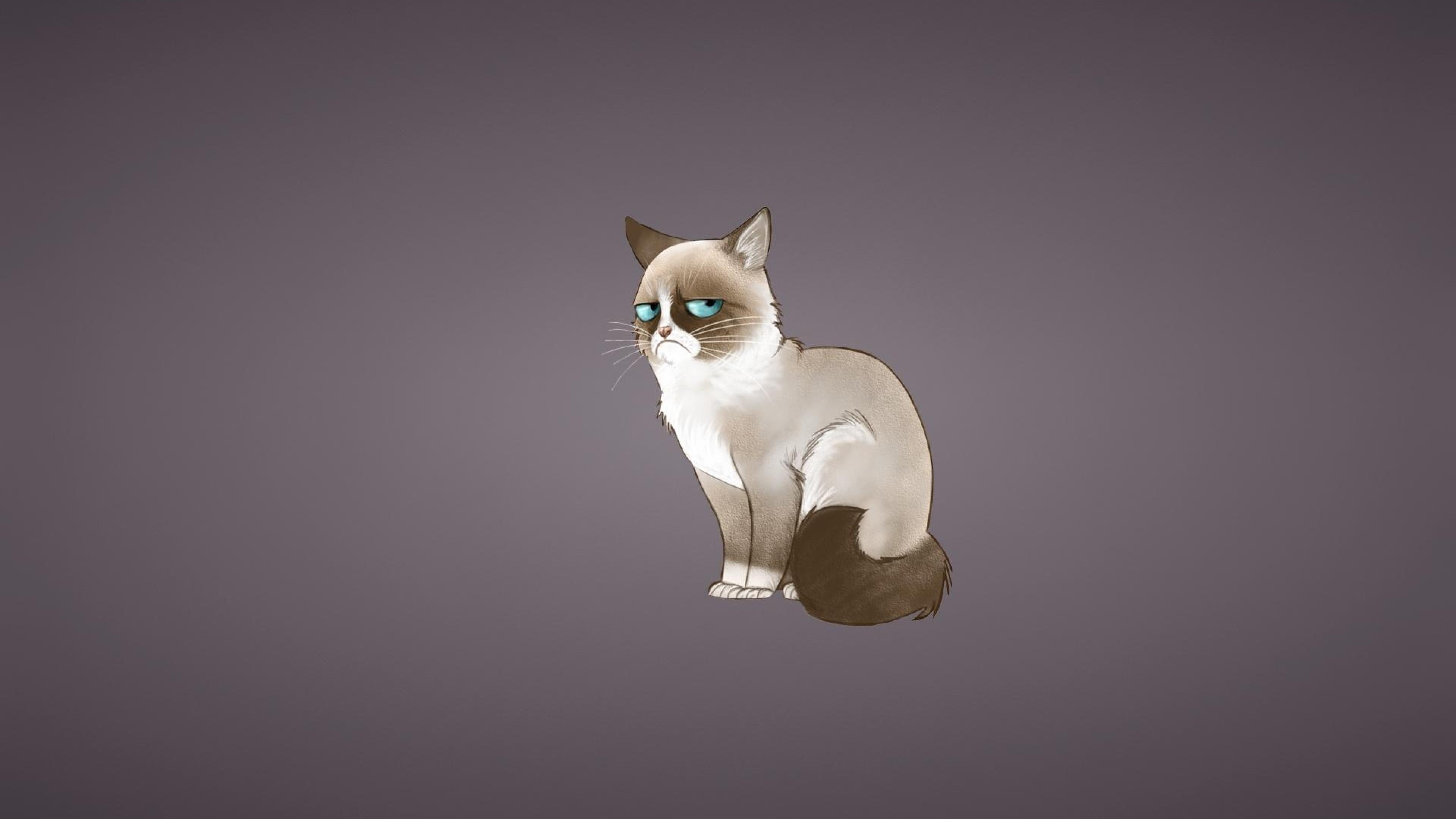 Grumpy Cat Iphone Wallpapers