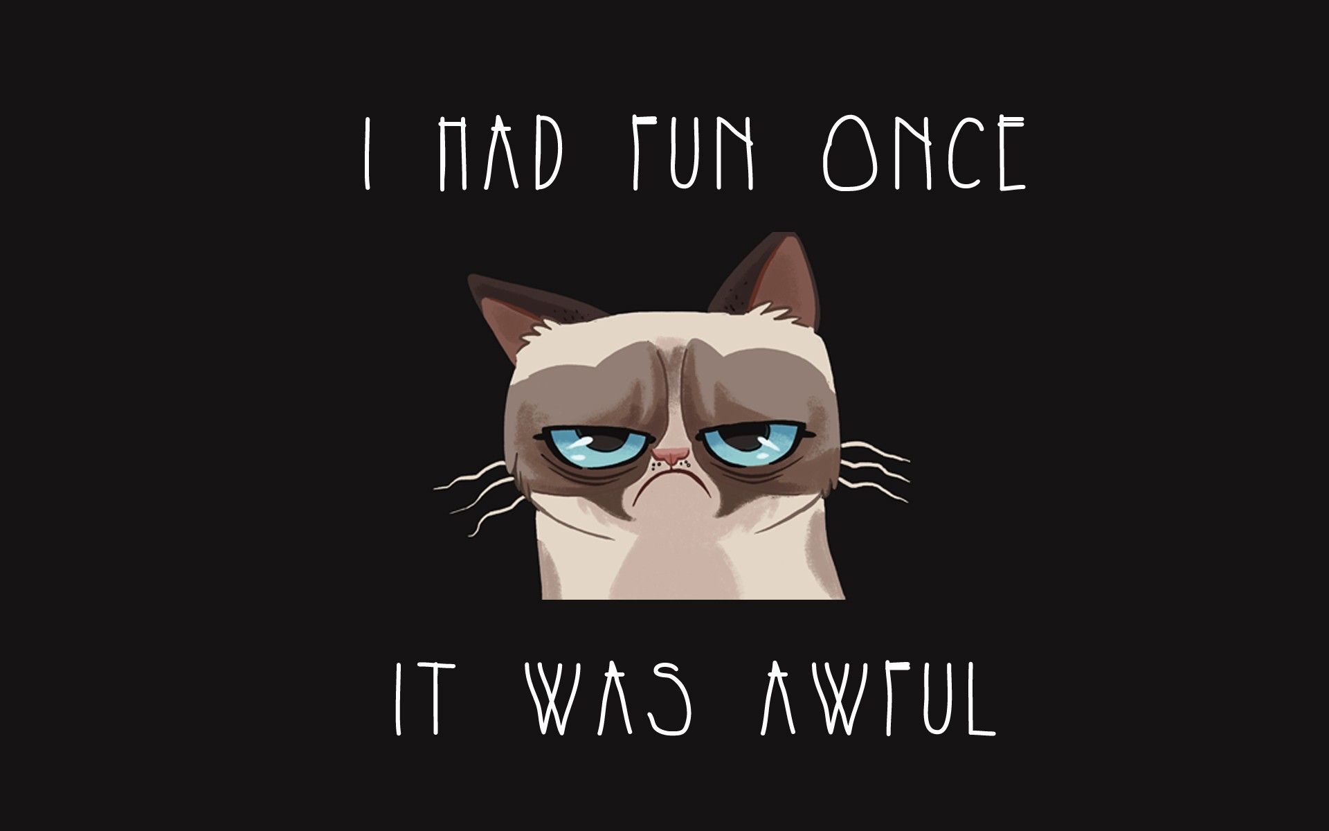 Grumpy Cat Wallpapers