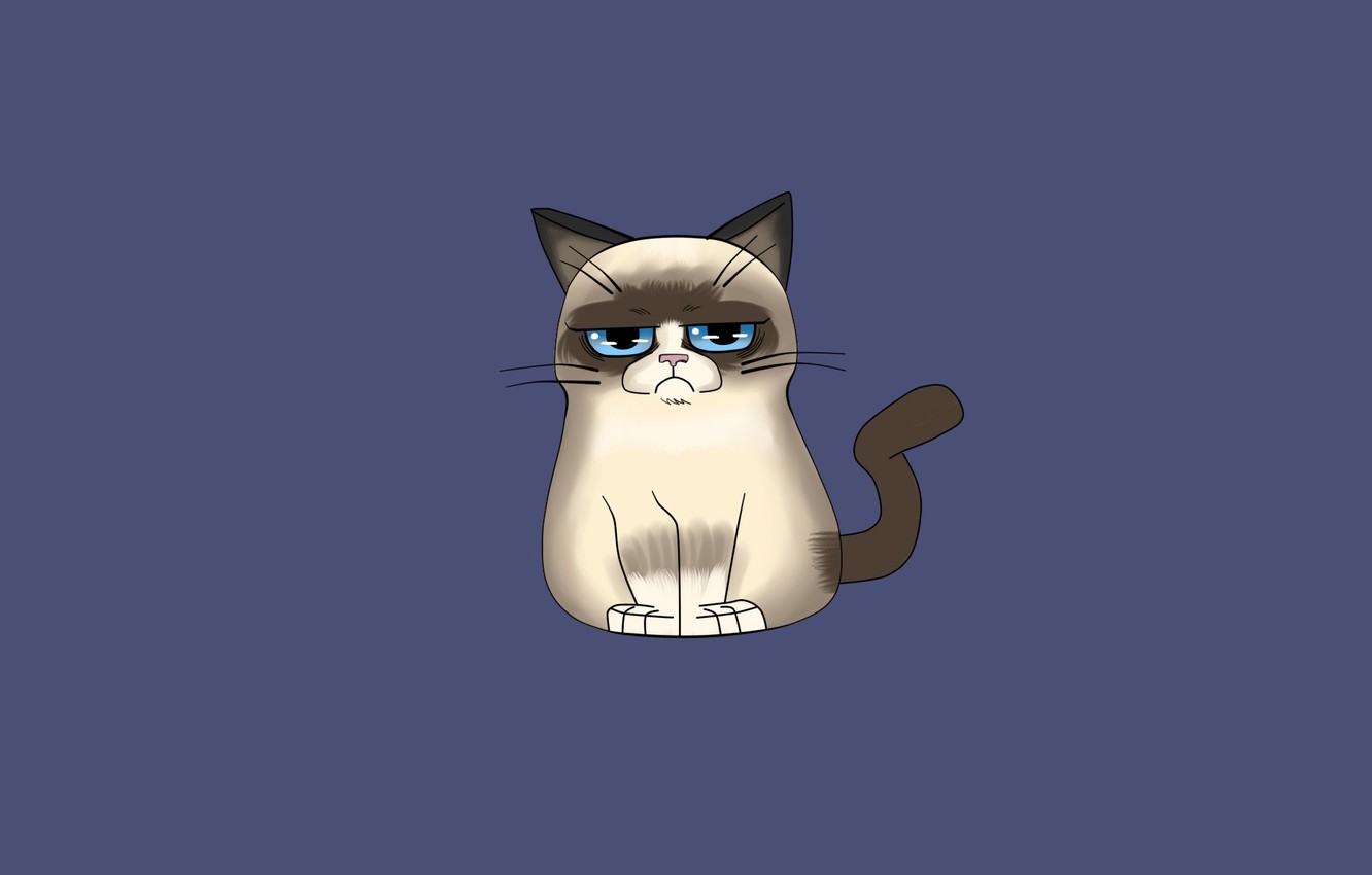 Grumpy Cat Wallpapers