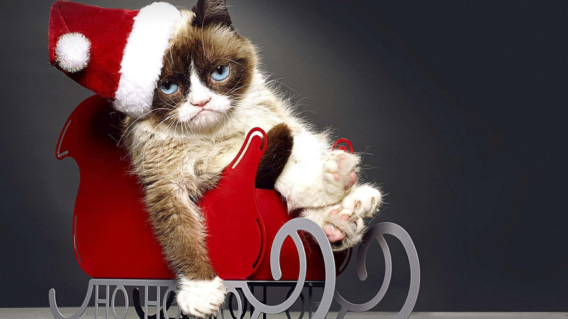 Grumpy Cat Wallpapers