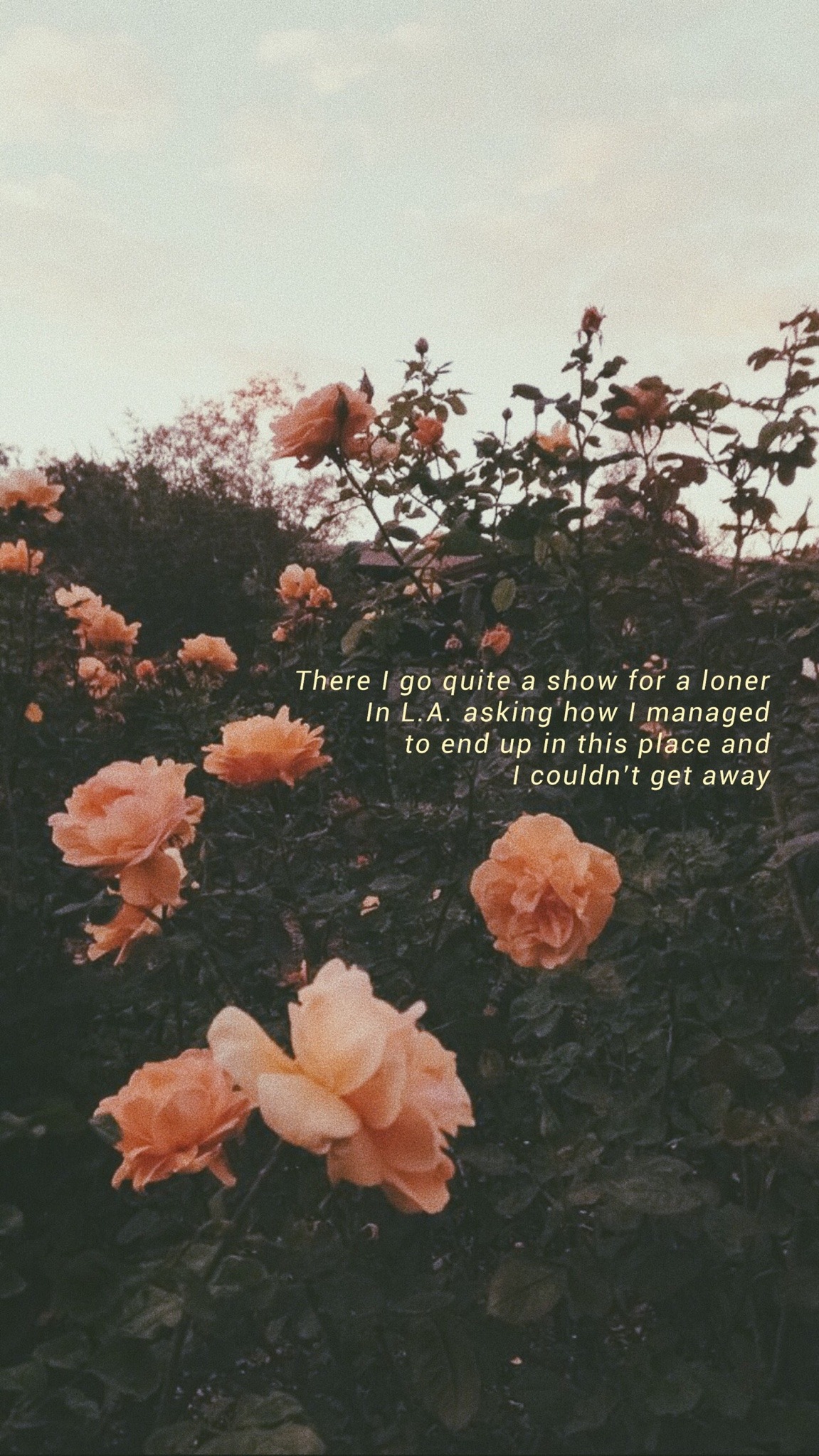 Grunge Flower Background Tumblr