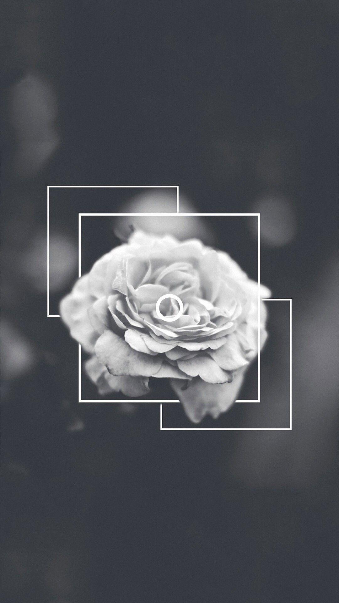 Grunge Flower Background Tumblr