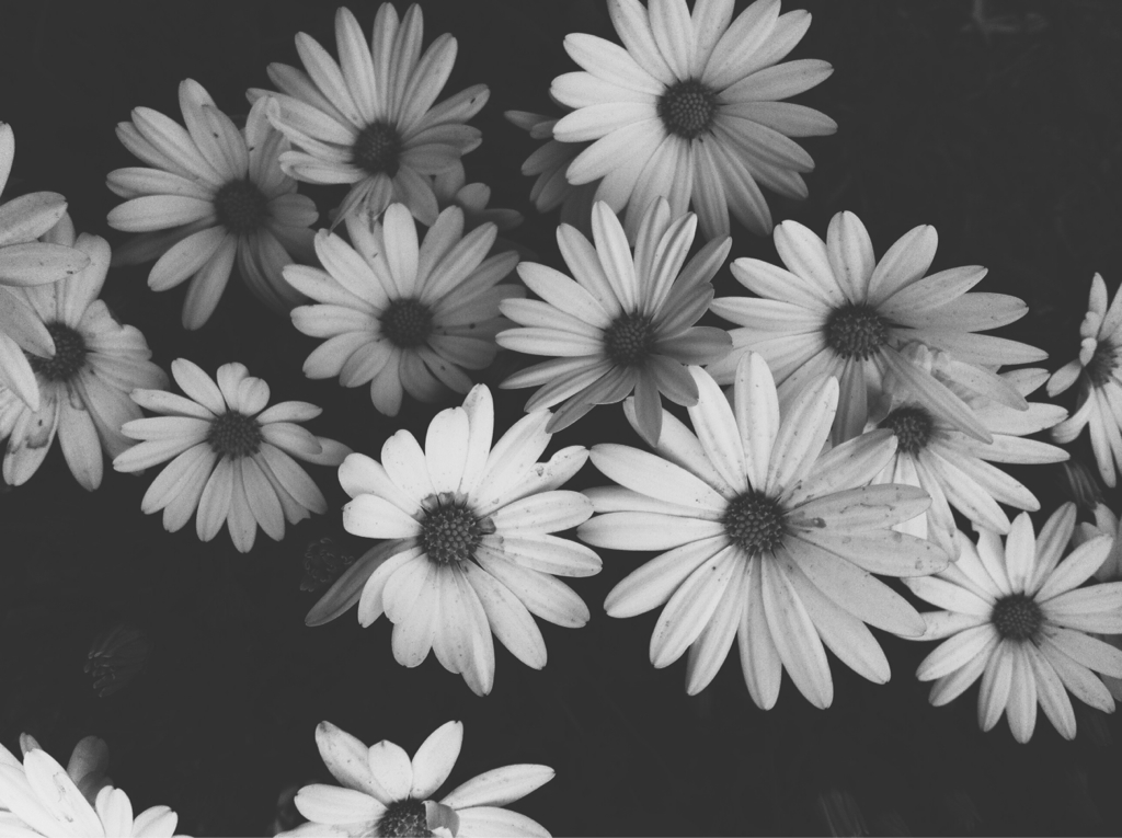 Grunge Flower Background Tumblr