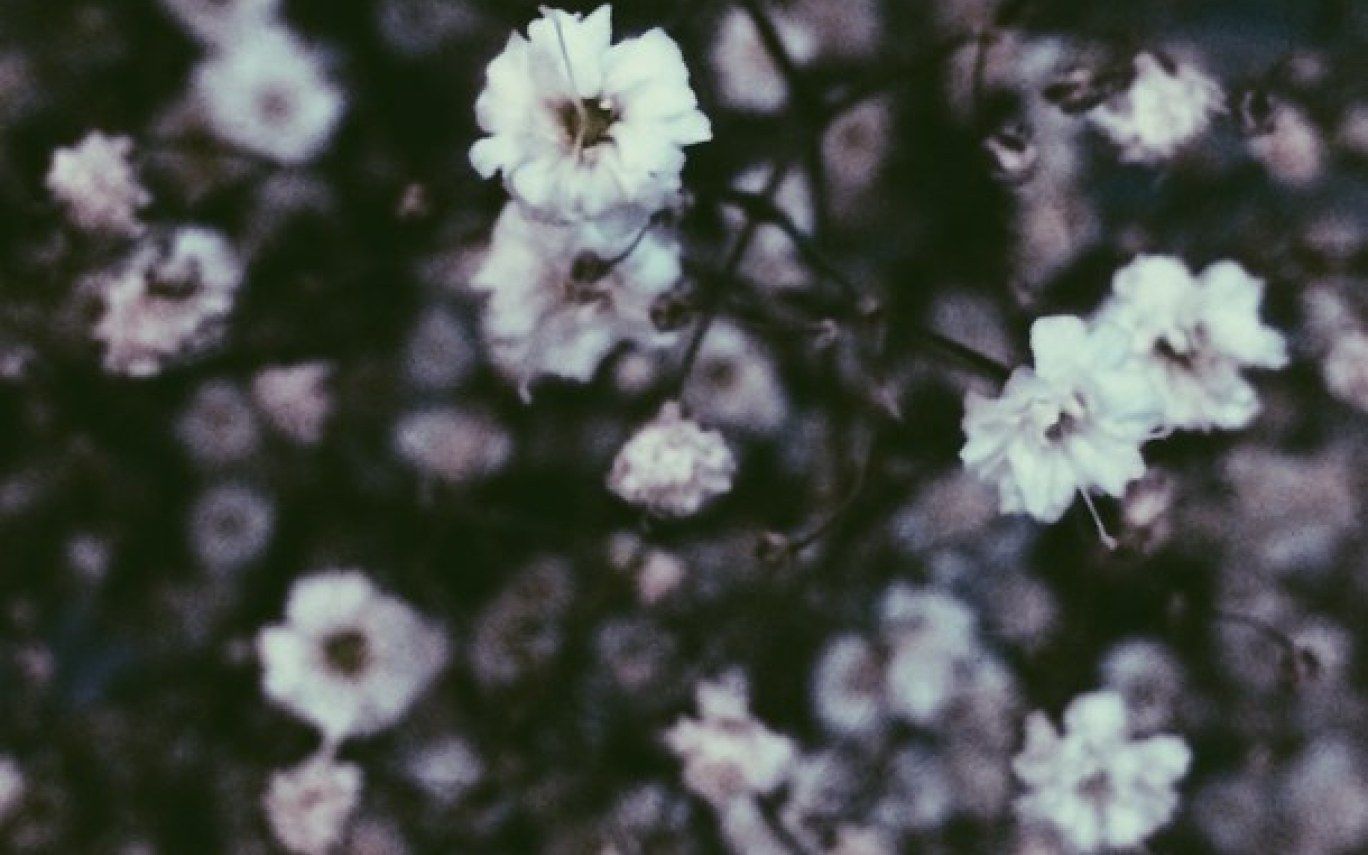 Grunge Flower Background Tumblr