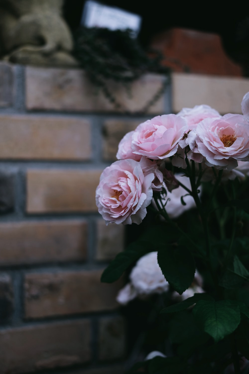 Grunge Flower Background Tumblr