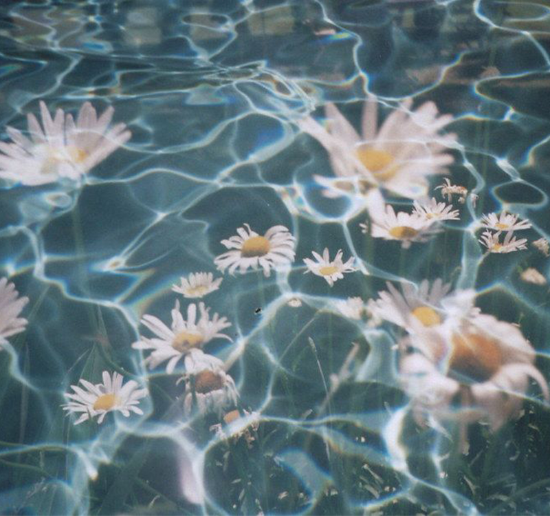 Grunge Flowers Tumblr Wallpapers