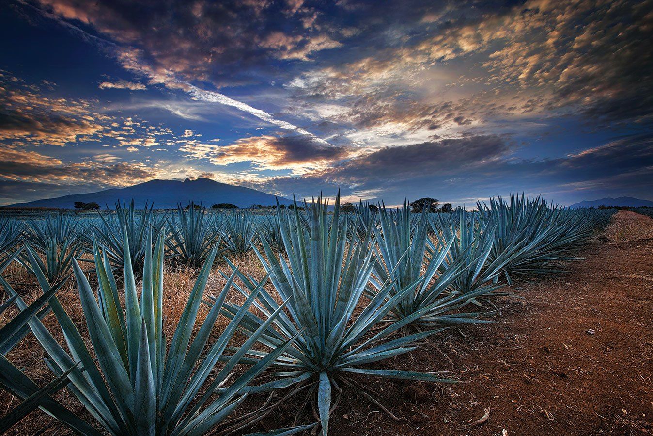 Guadalajara Wallpapers