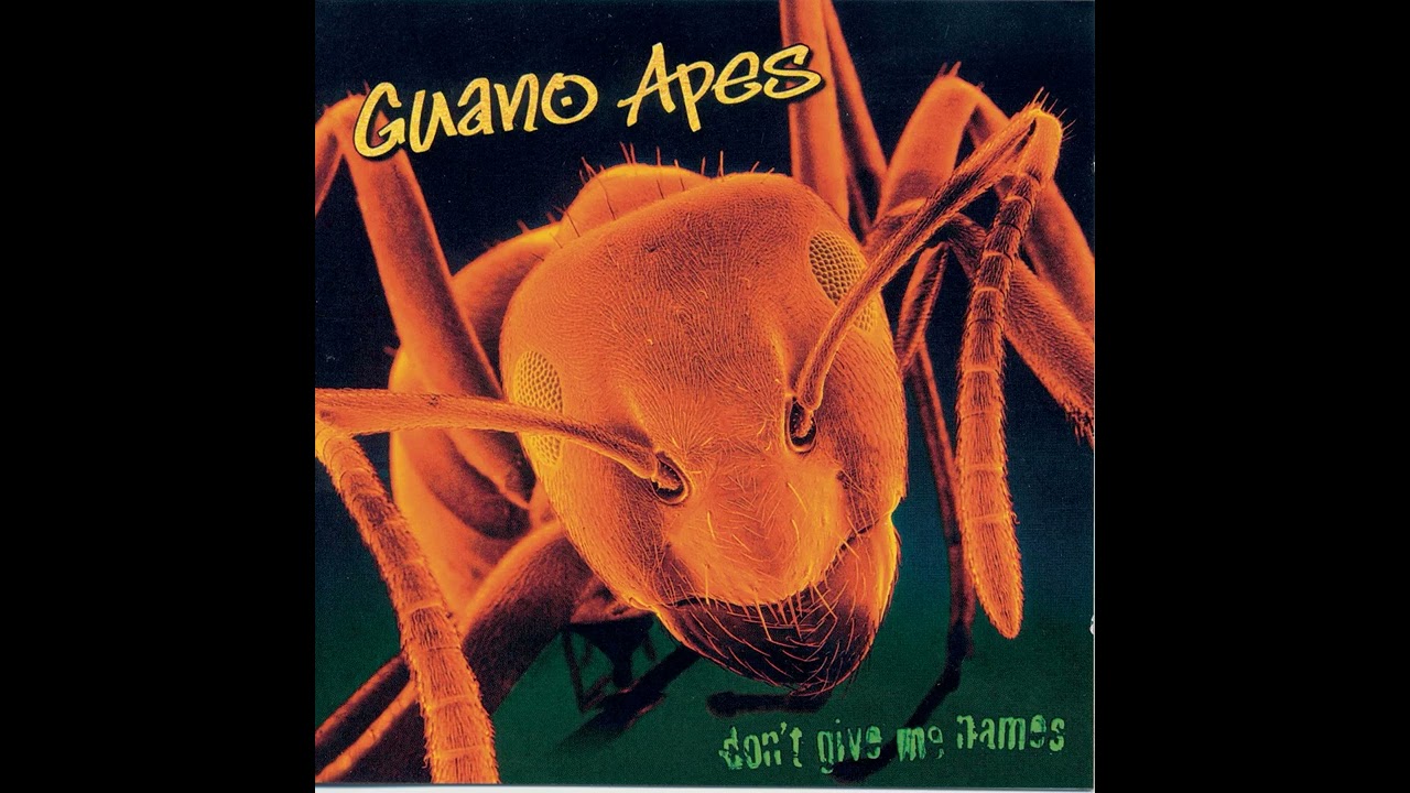 Guano Apes Wallpapers