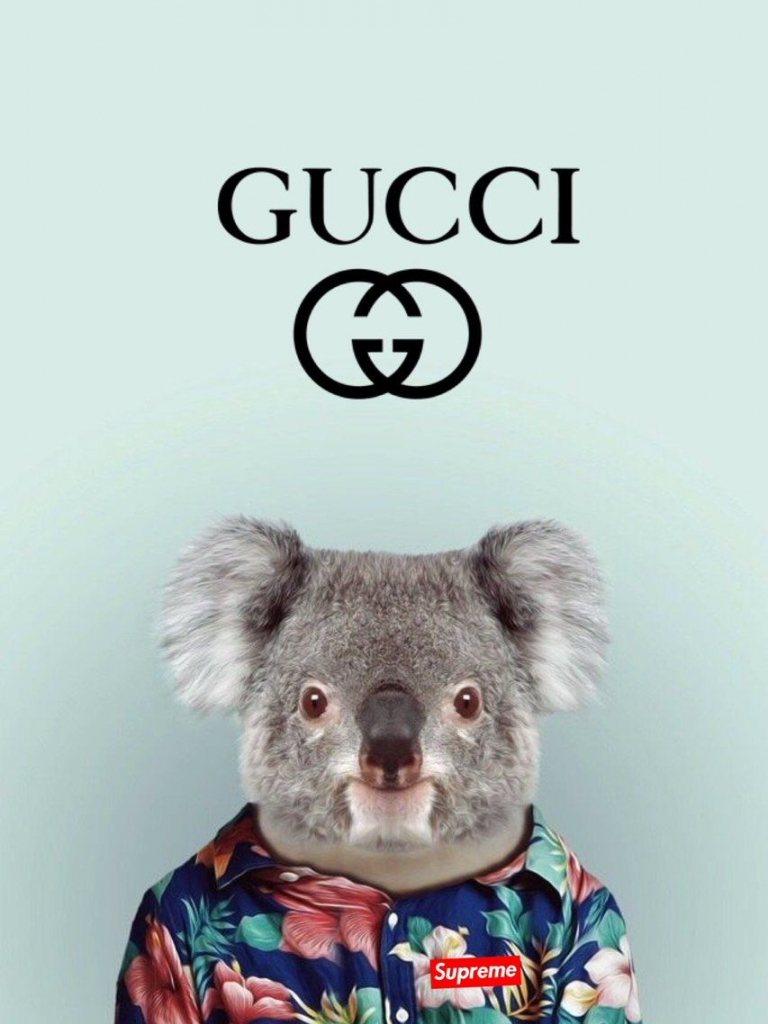 Gucci Bear Wallpapers