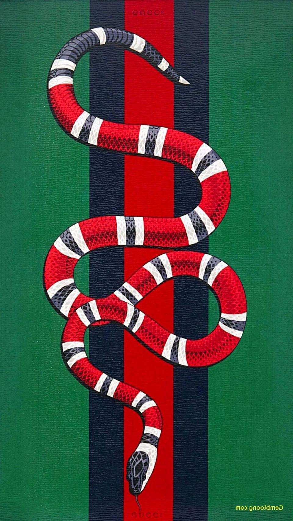 Gucci Red Snake Wallpapers