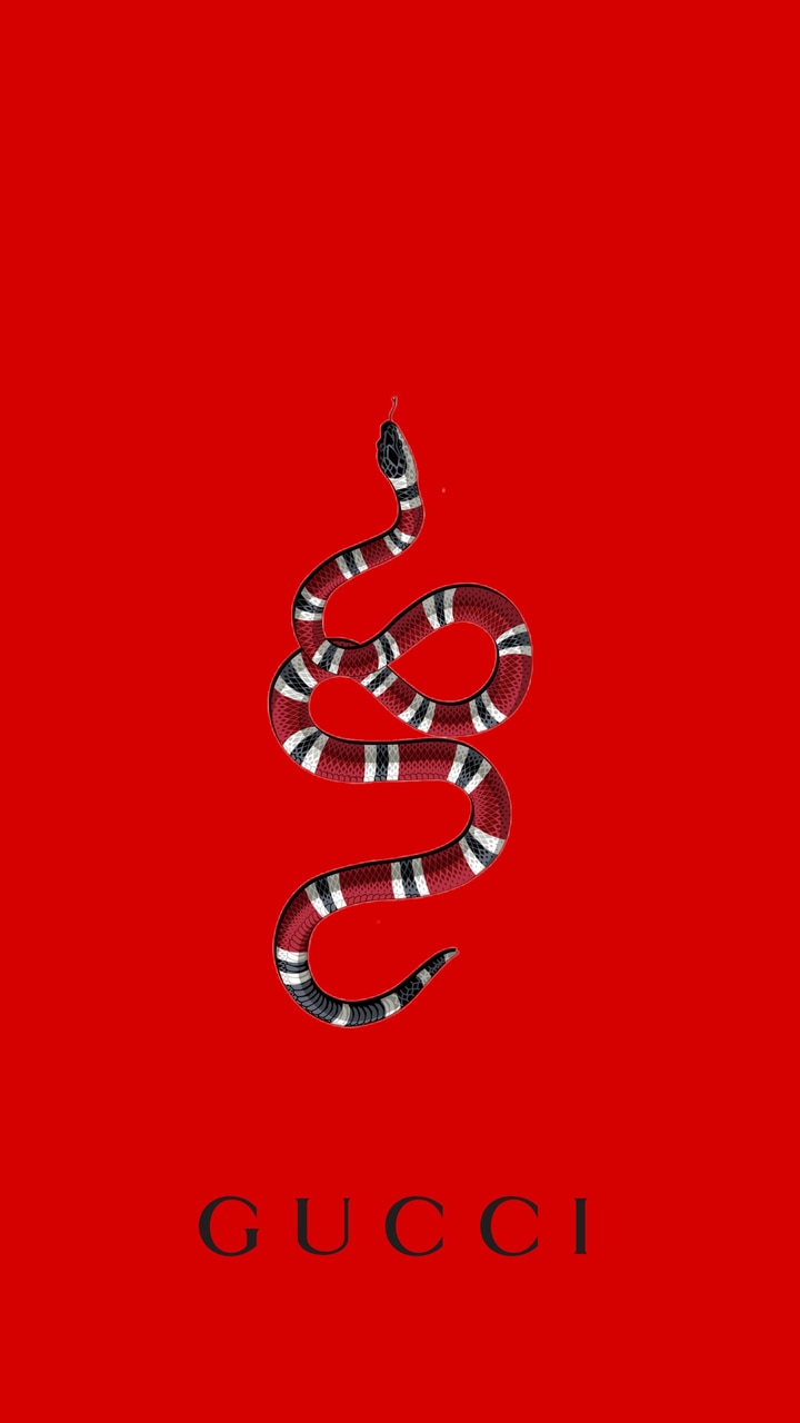 Gucci Snake Wallpapers