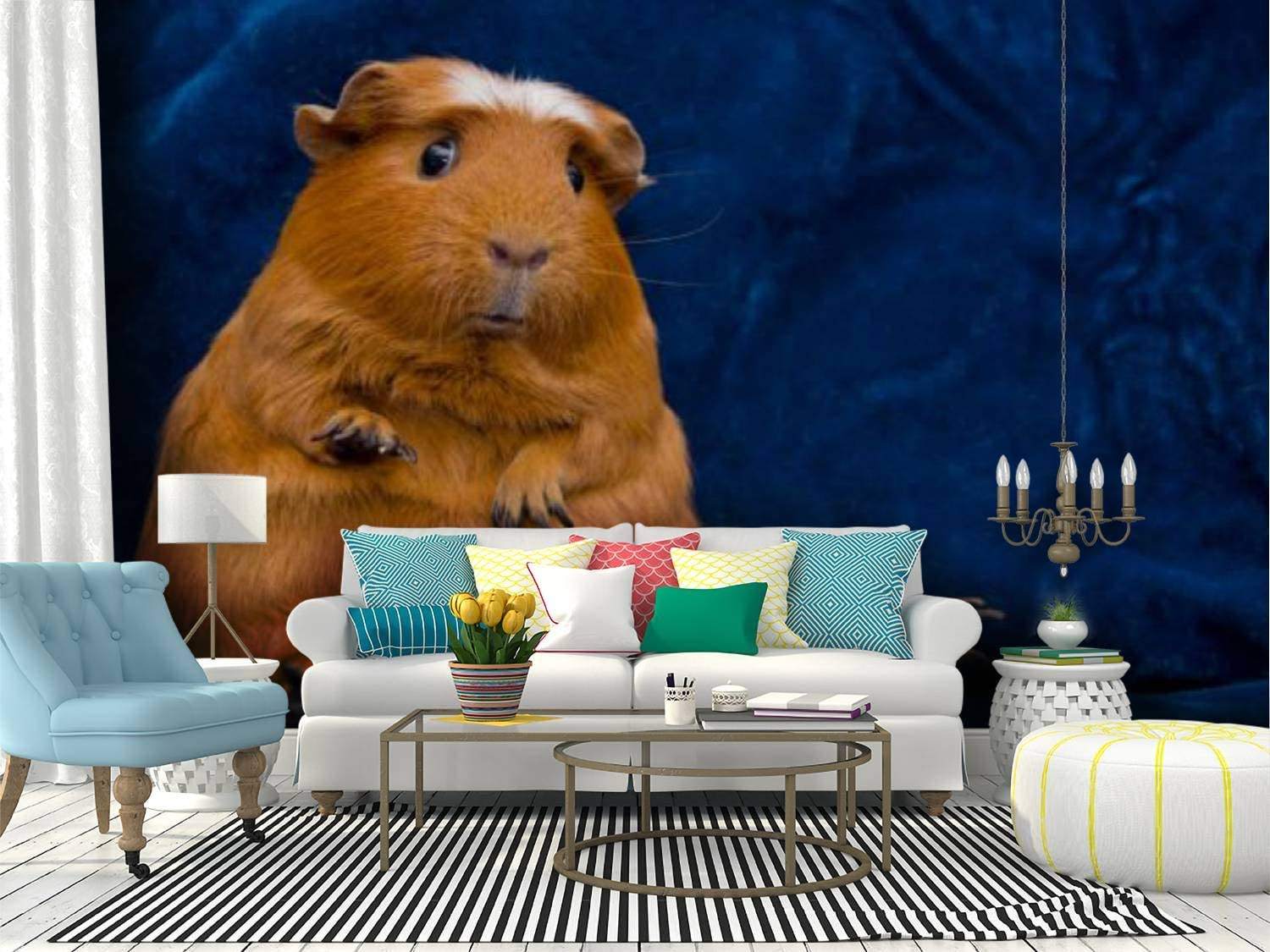 Guinea Pig Wallpapers