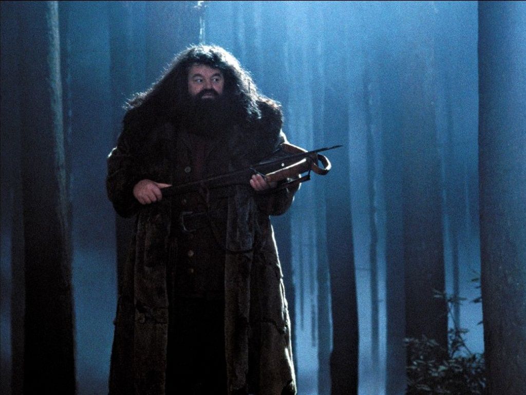 Hagrid Wallpapers