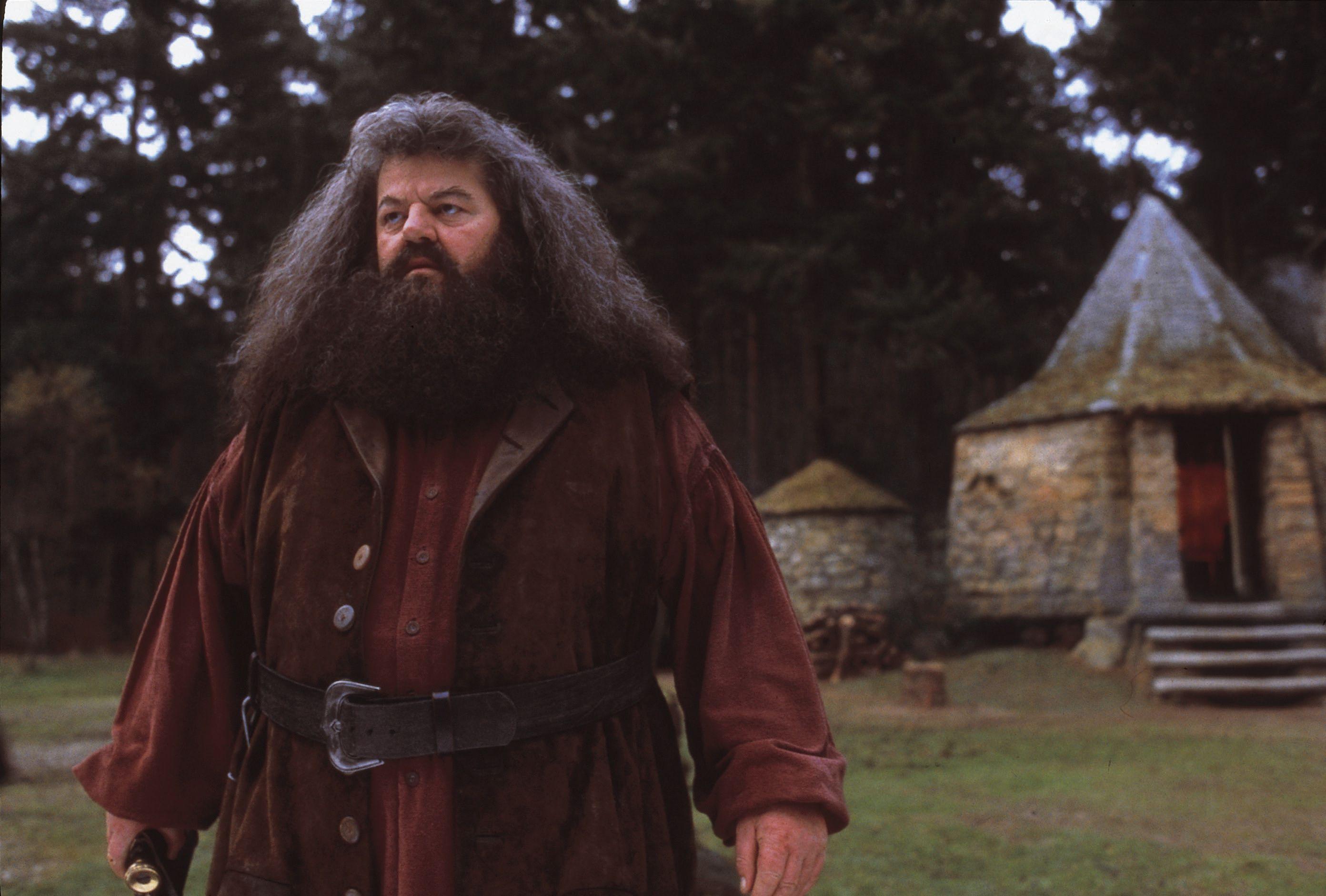 Hagrid Wallpapers