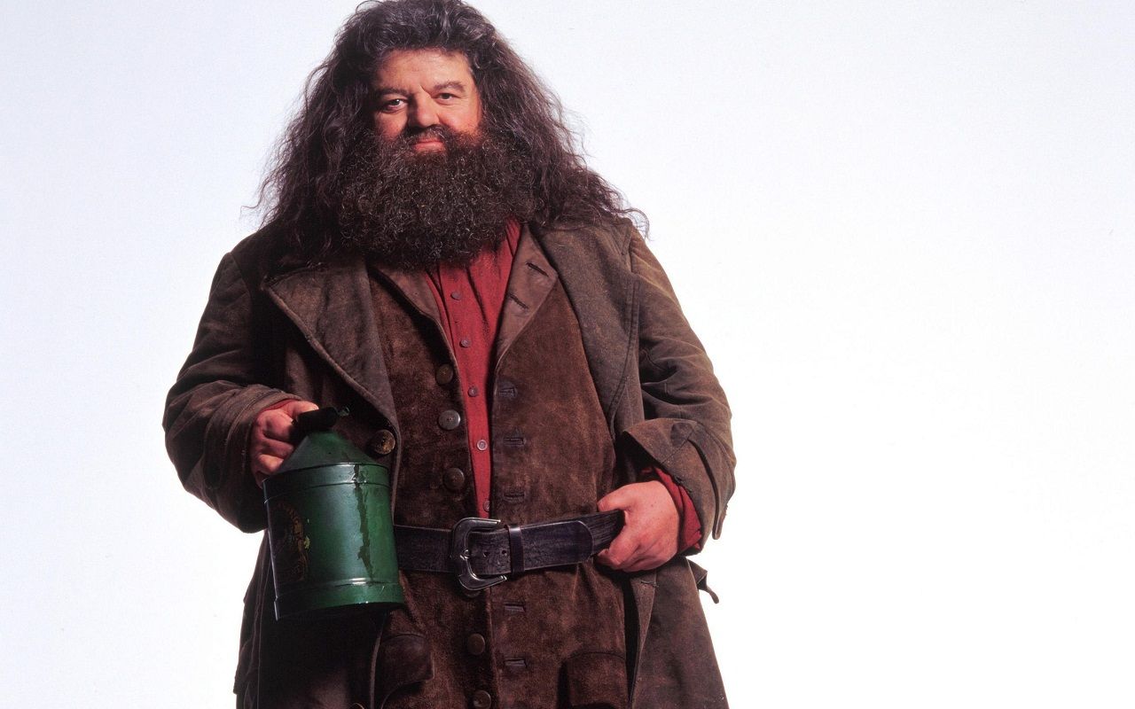 Hagrid Wallpapers